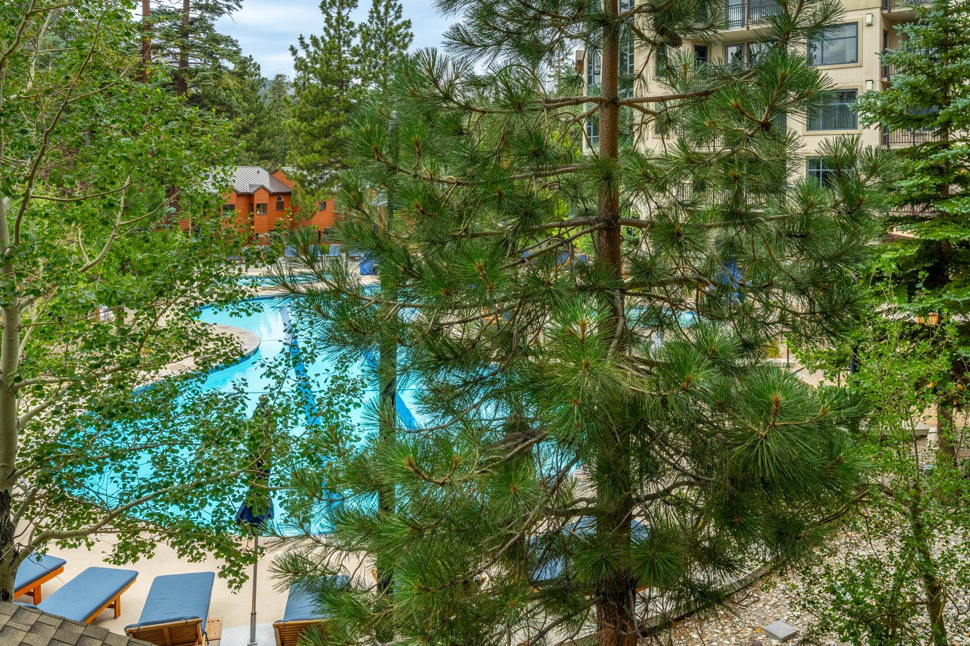 50 Hillside Drive #341