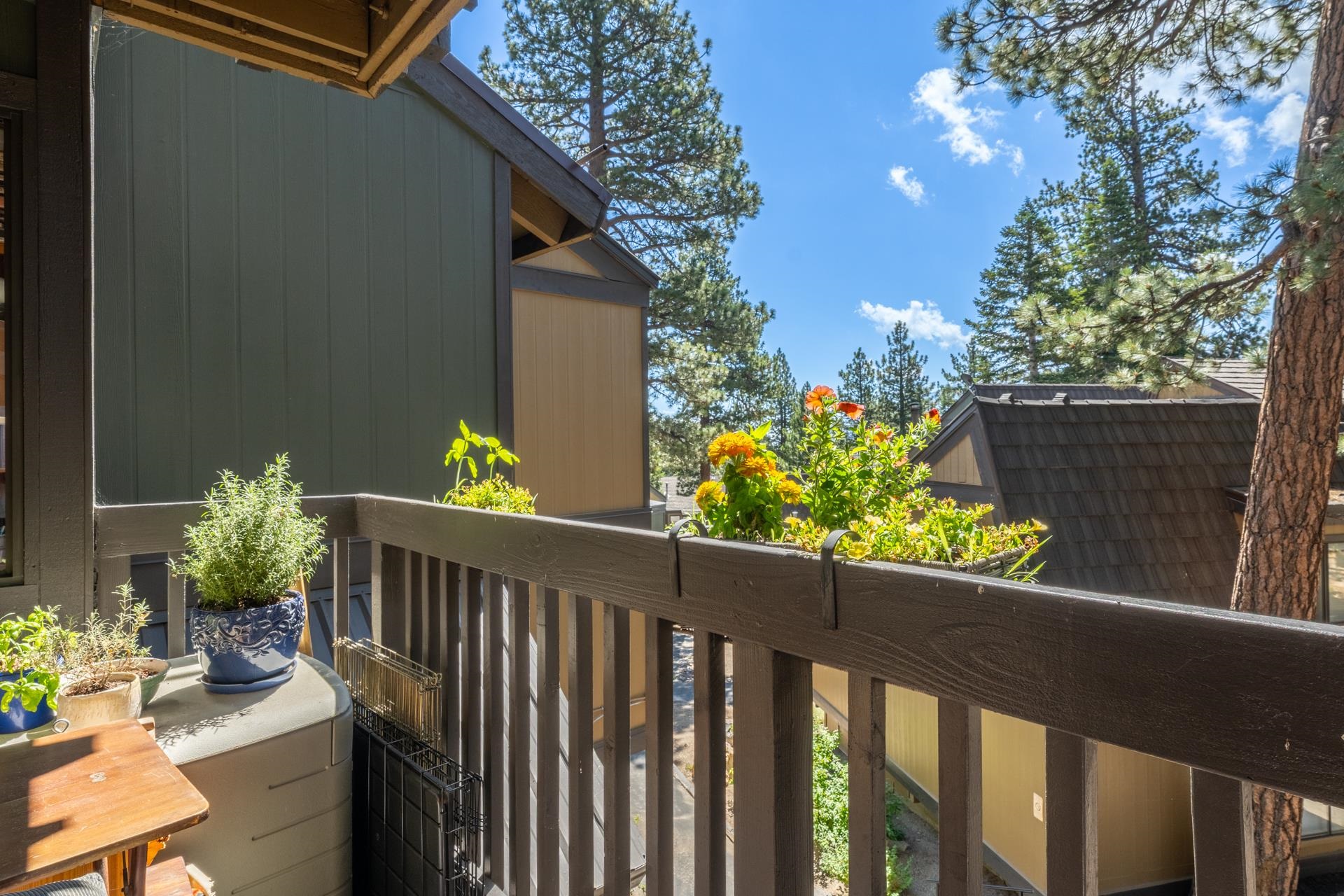 1629 Majestic Pines #25