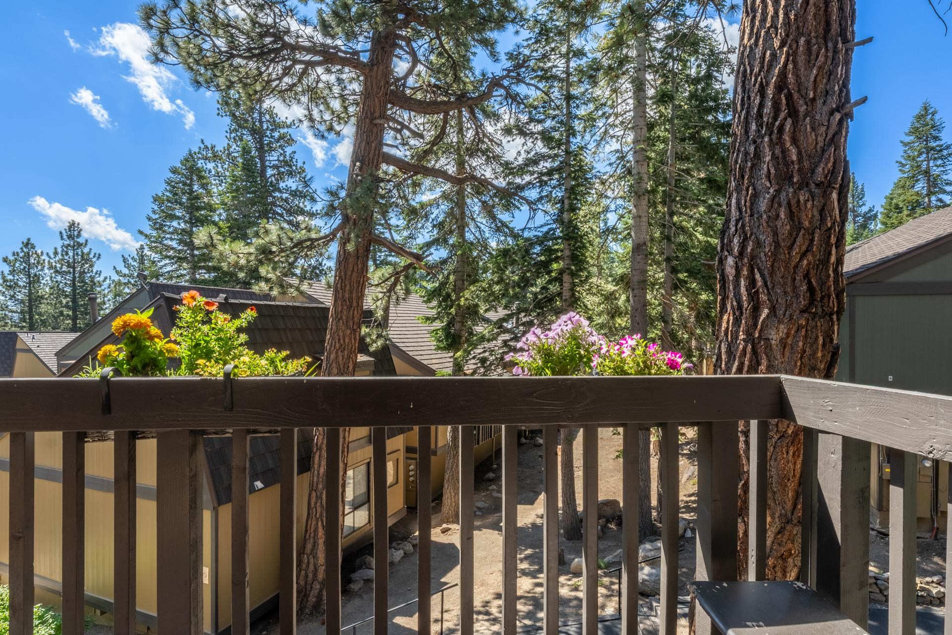 1629 Majestic Pines #25
