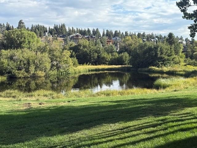 613 Golden Creek Road Unit: 613