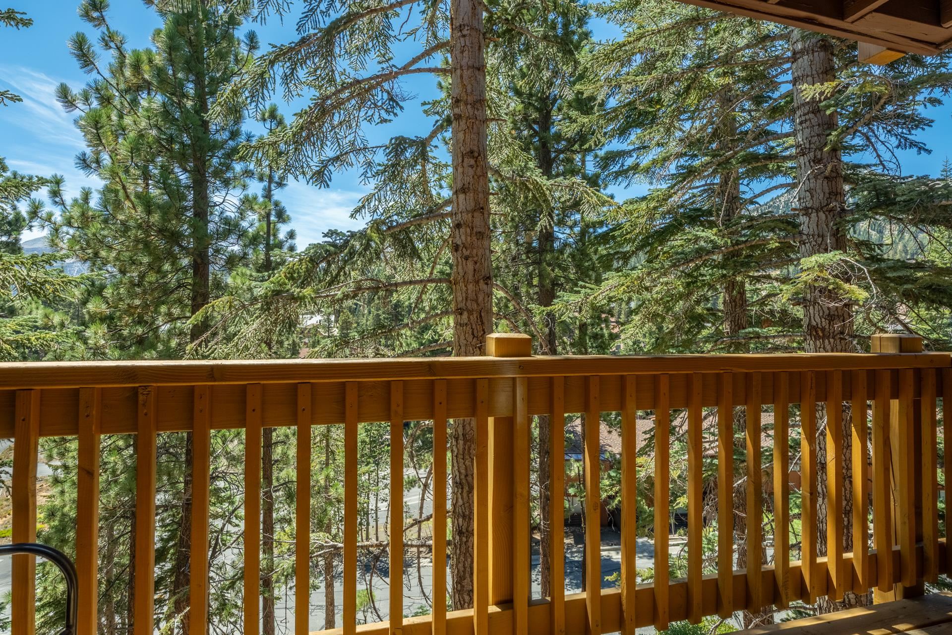 248 Mammoth Slopes Dr #33 Unit: D-33