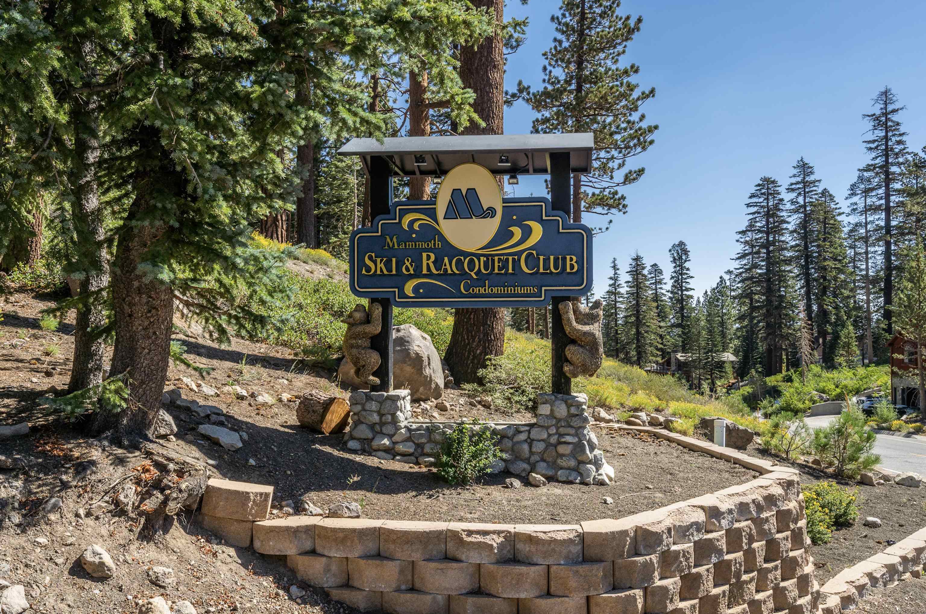 248 Mammoth Slopes Dr #33 Unit: D-33