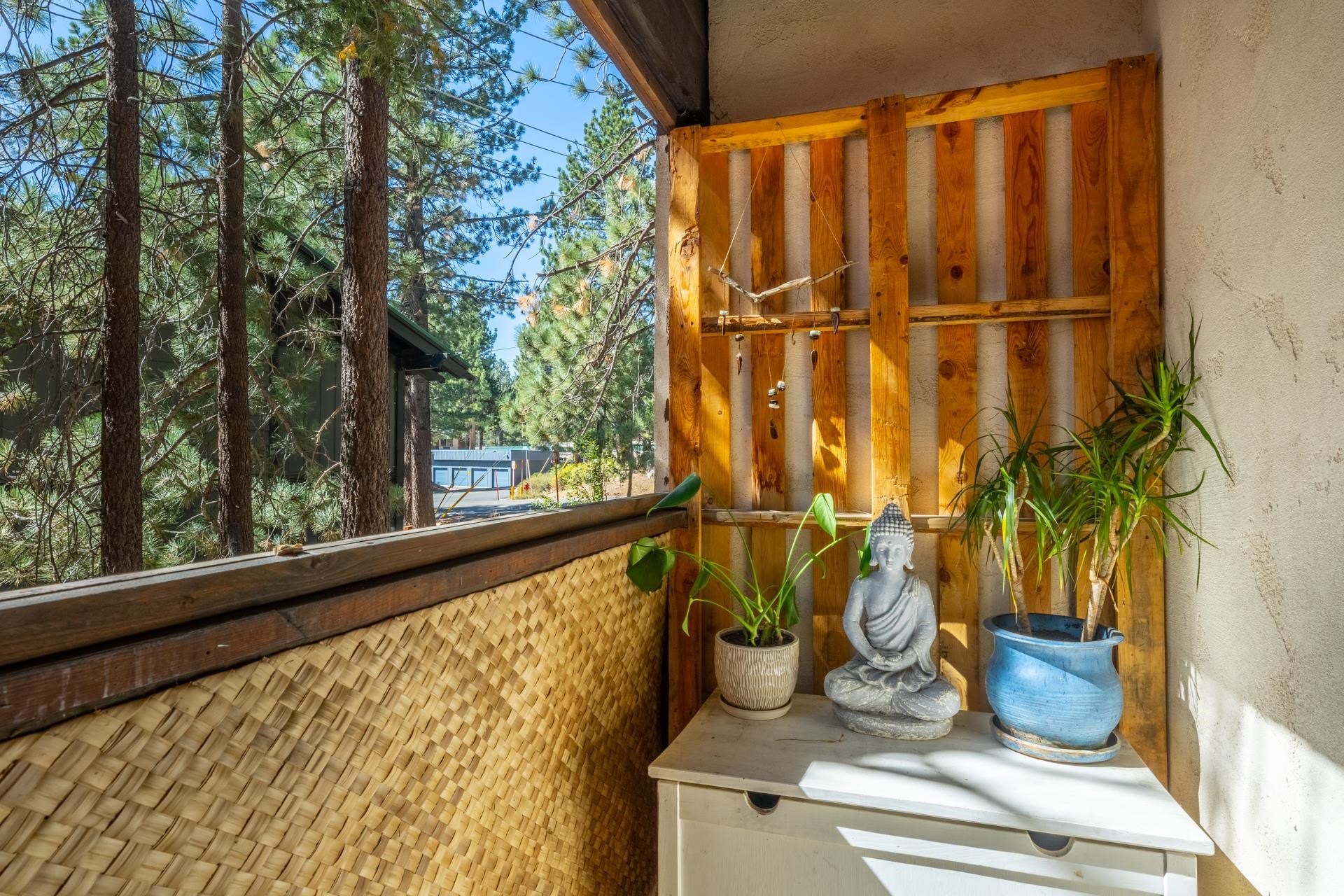 156 Forest Trail