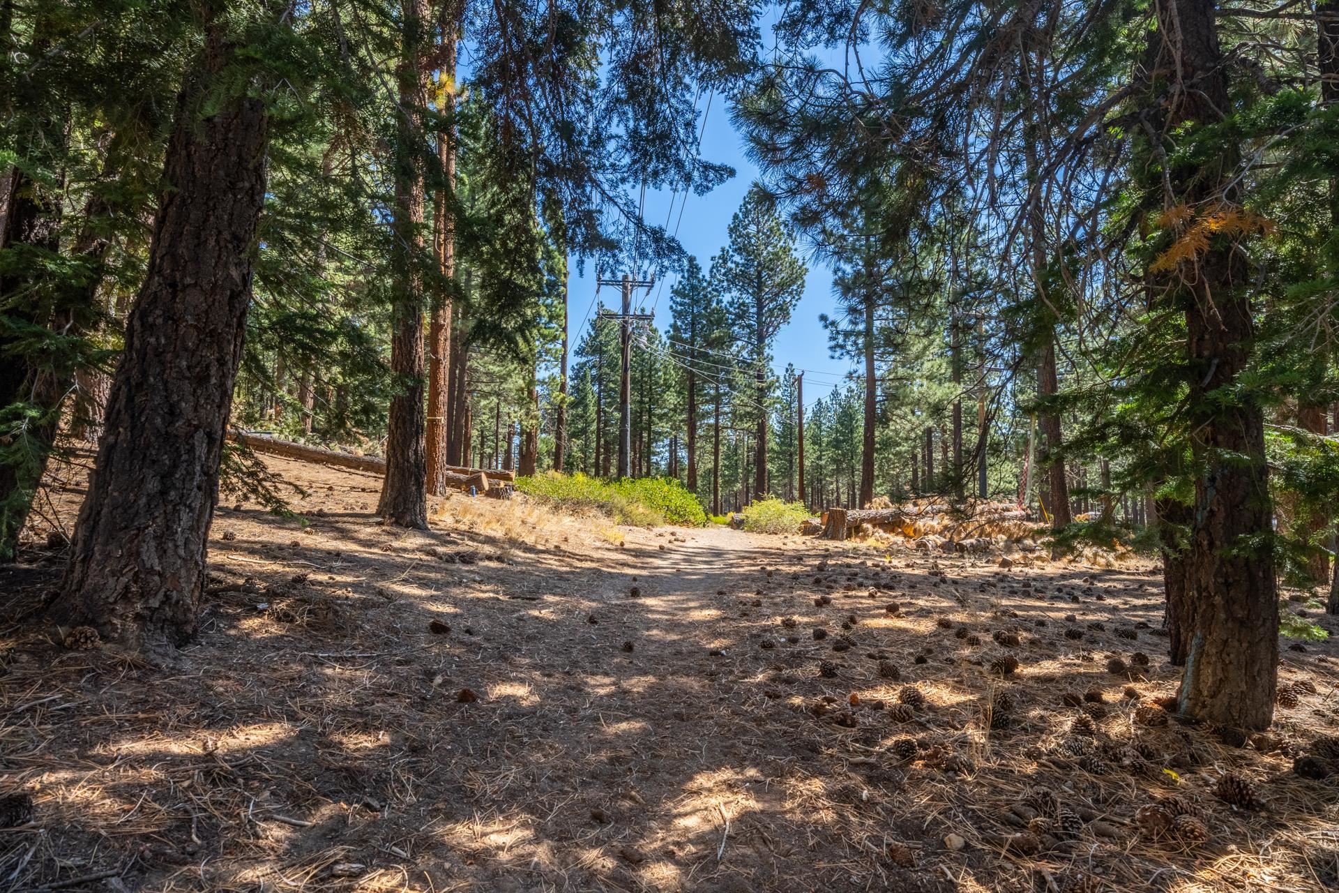 156 Forest Trail