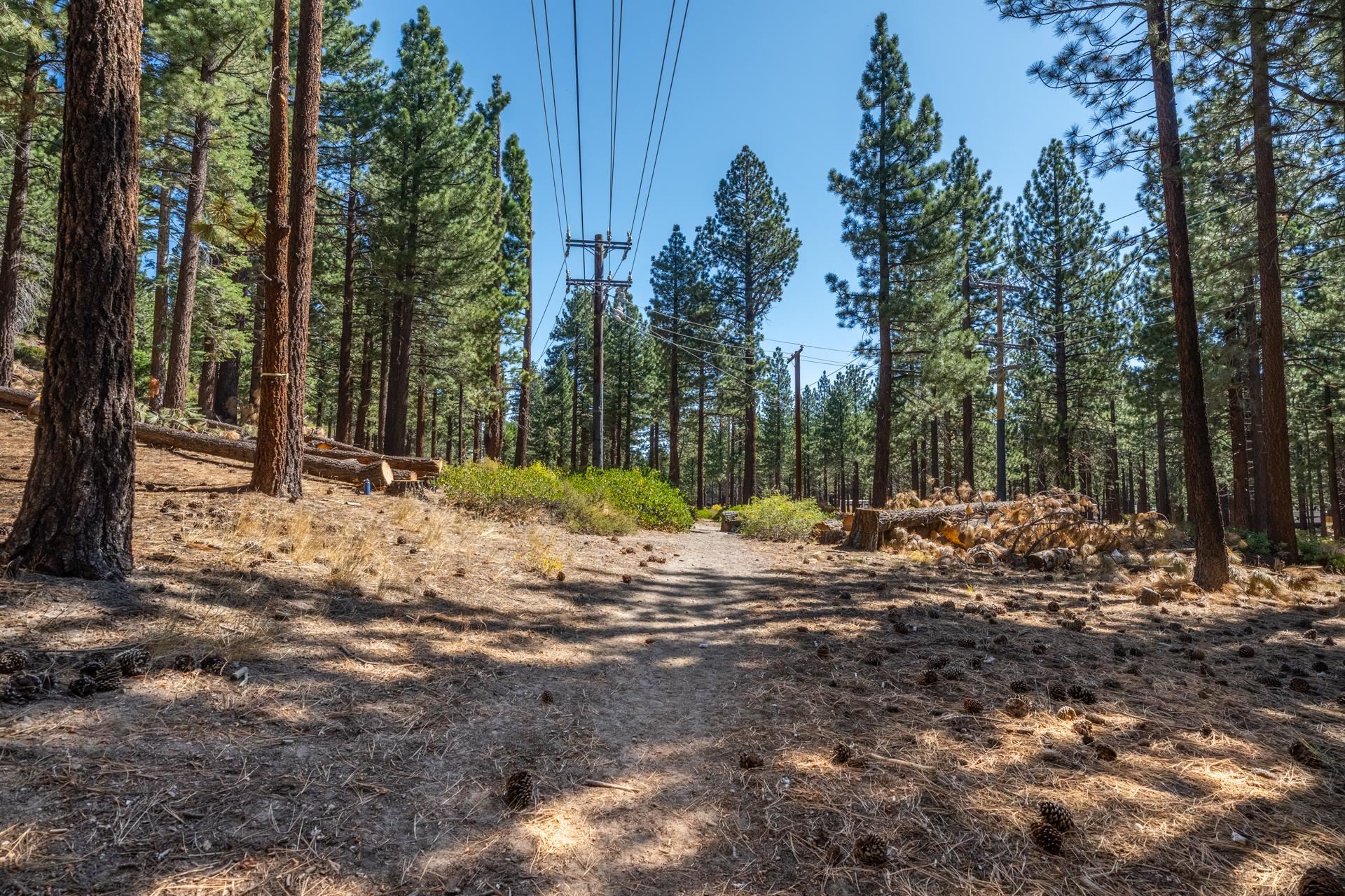 156 Forest Trail