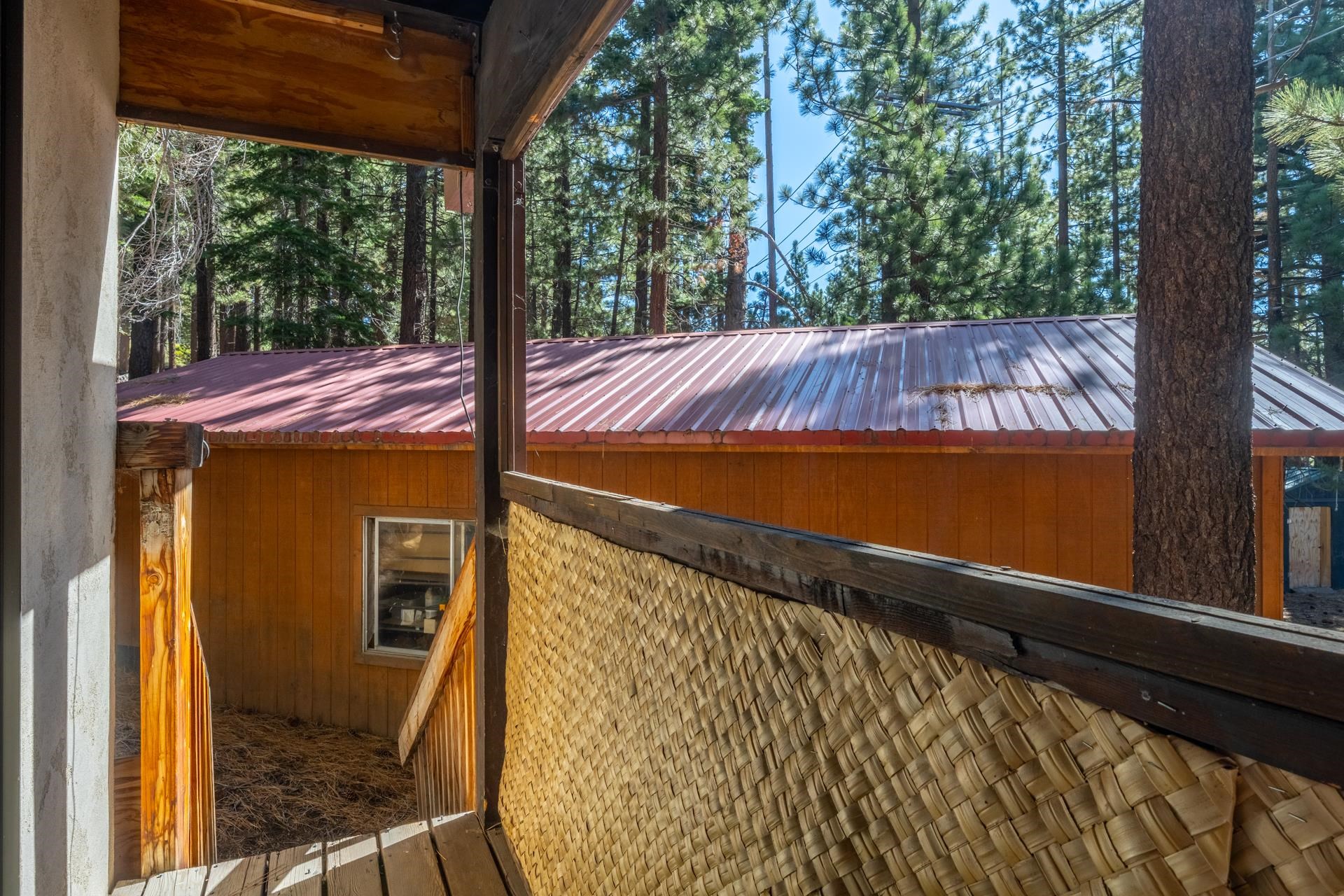 156 Forest Trail