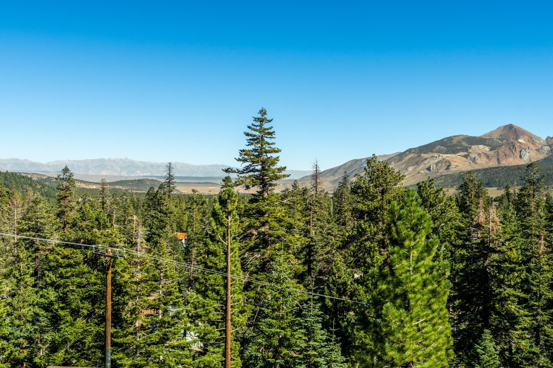 248 Mammoth Slopes Dr #69 Unit: G-69