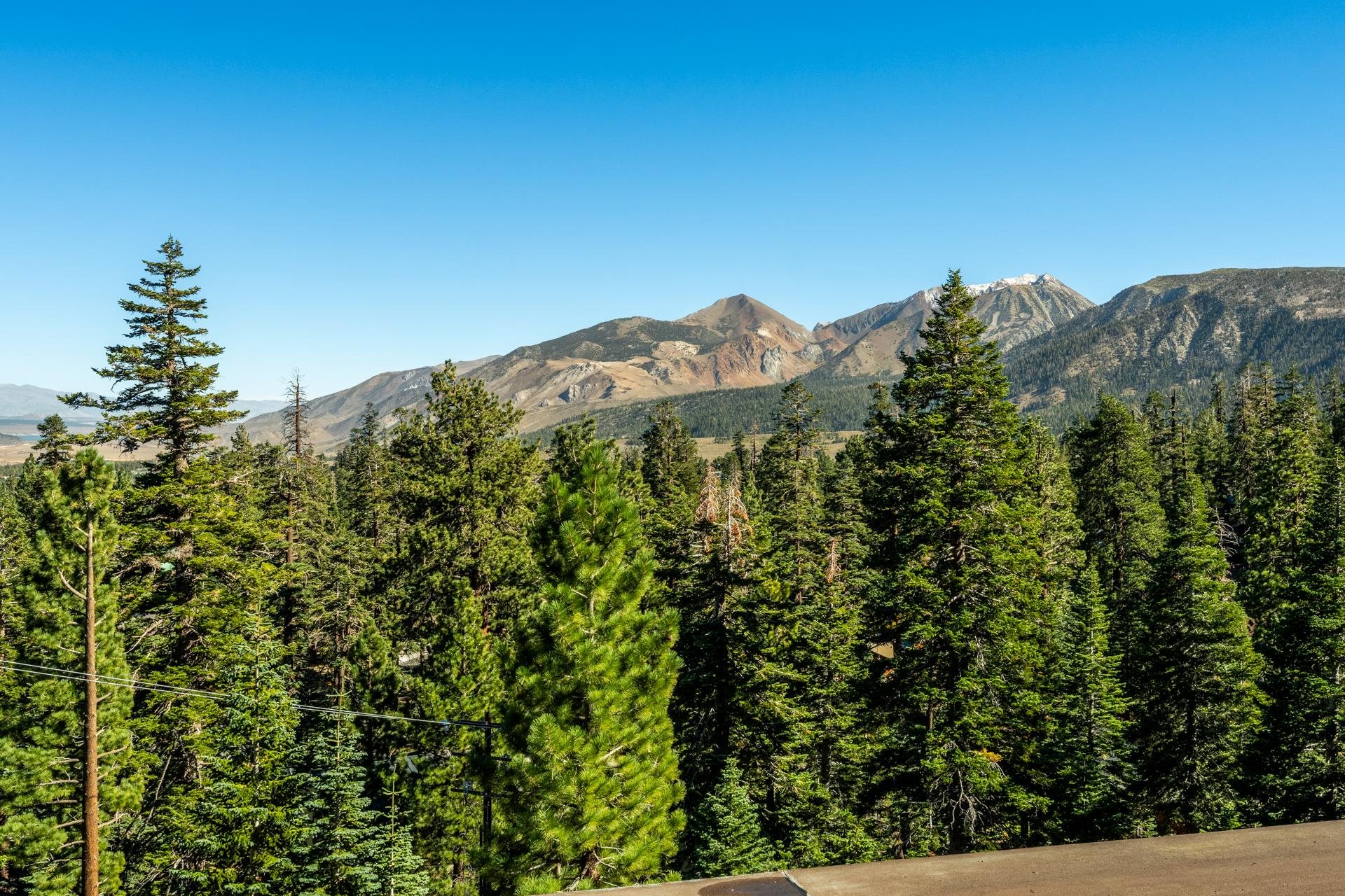 248 Mammoth Slopes Dr #69 Unit: G-69