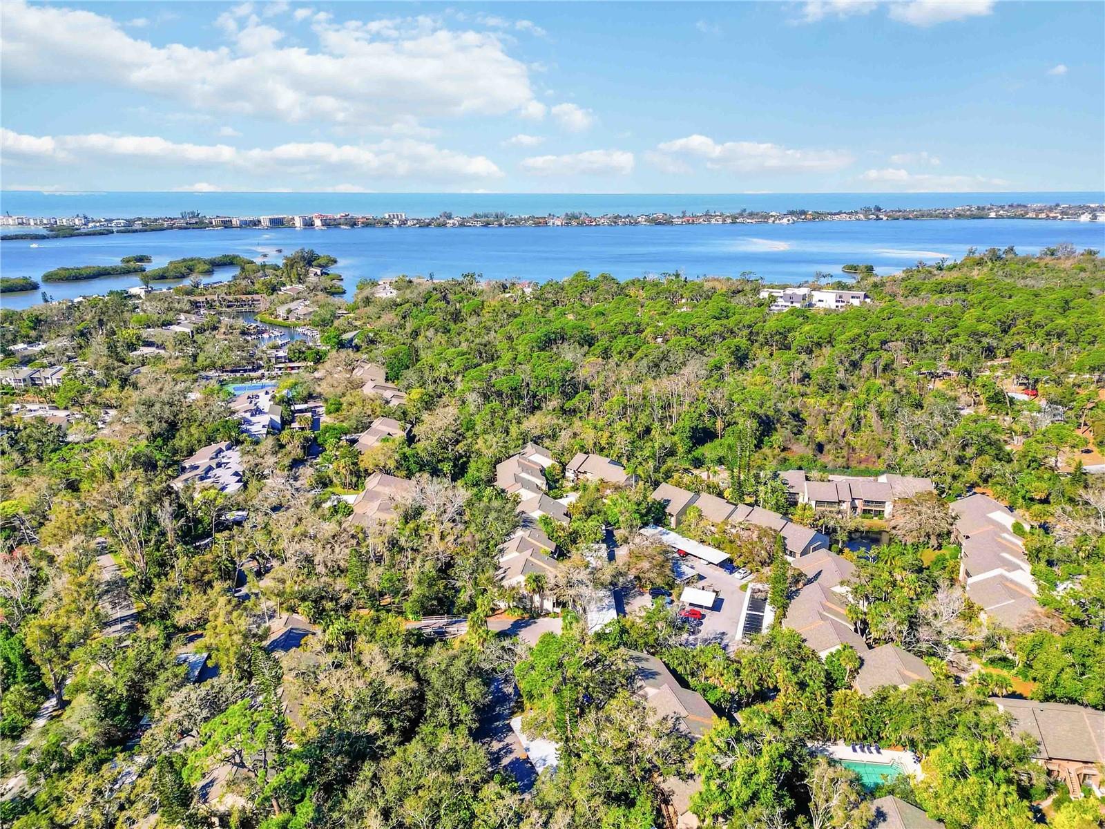 1626 BROOKHOUSE DR #235