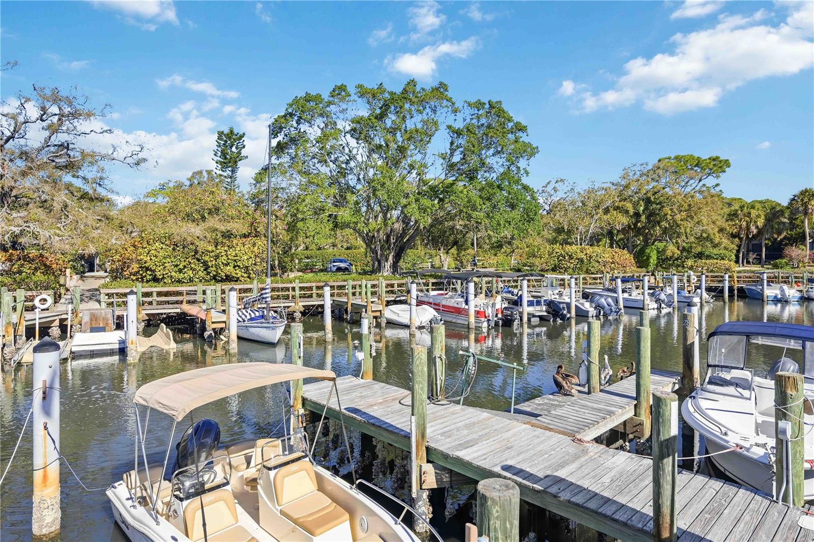 1626 BROOKHOUSE DR #235