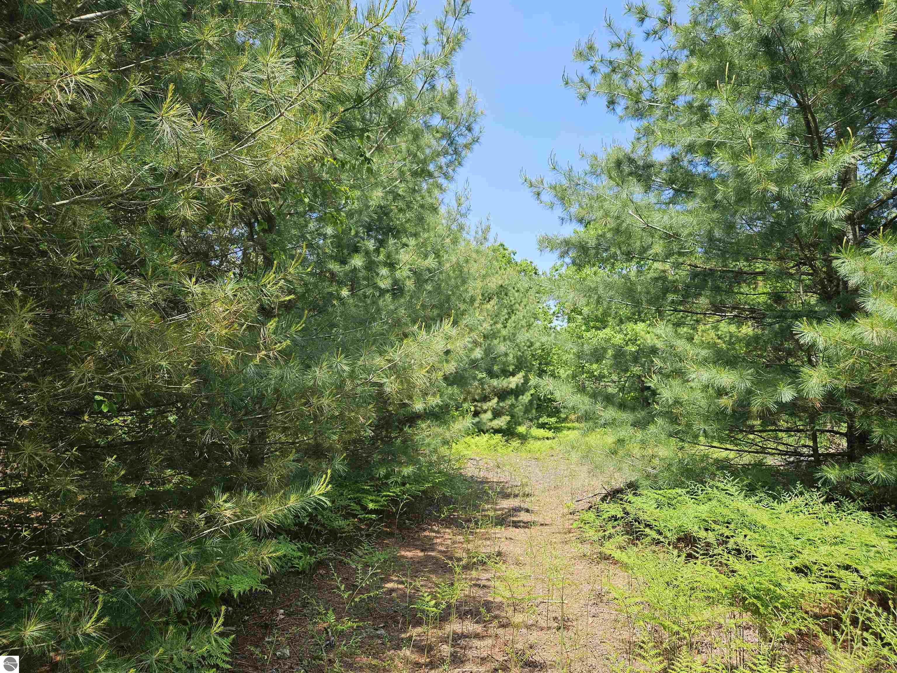 1942 Round Lake Road