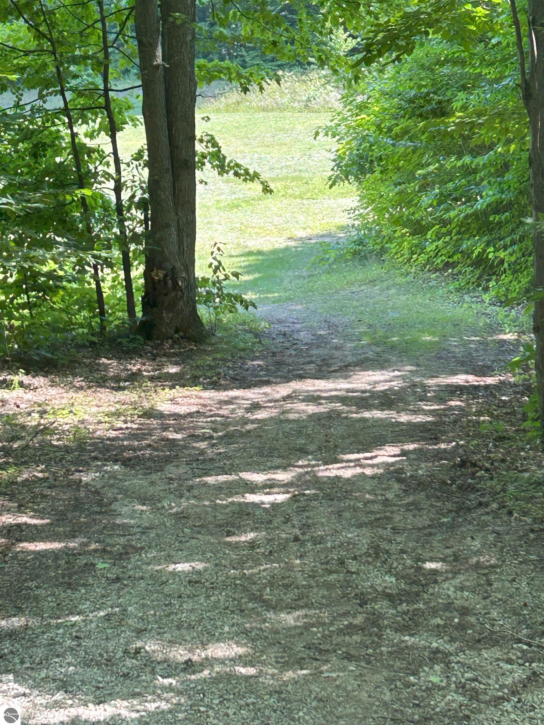 8250 Bent Pine Drive