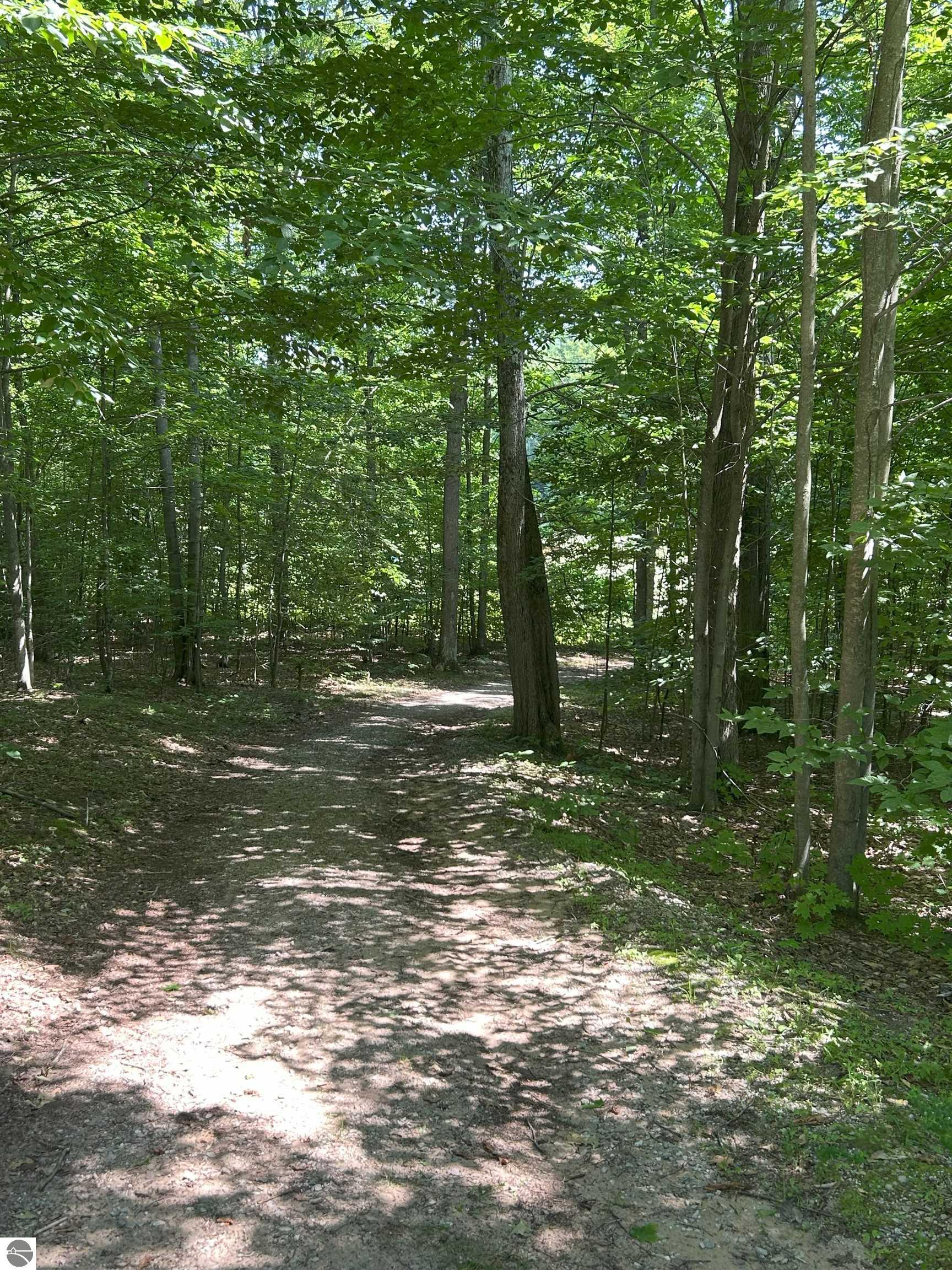 8250 Bent Pine Drive