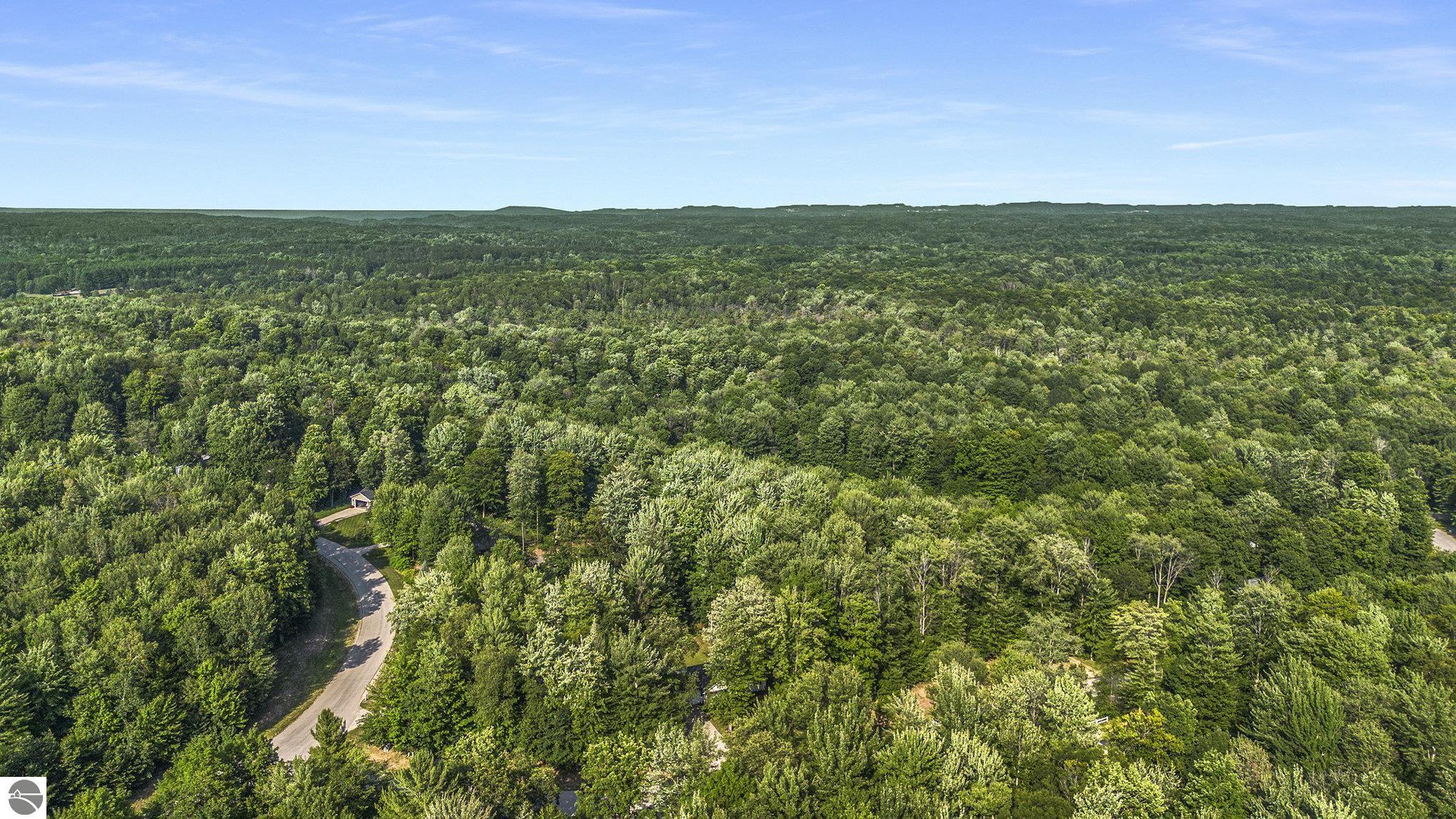 8250 Bent Pine Drive