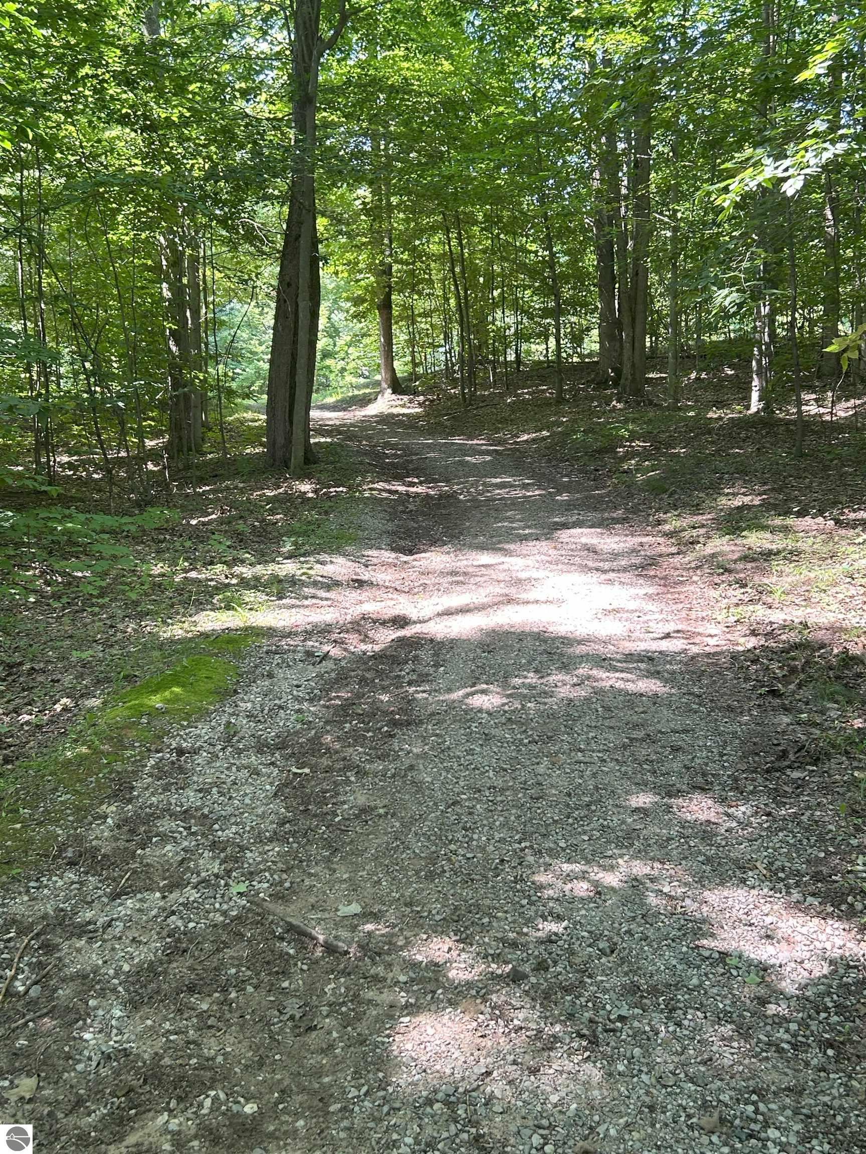 8250 Bent Pine Drive