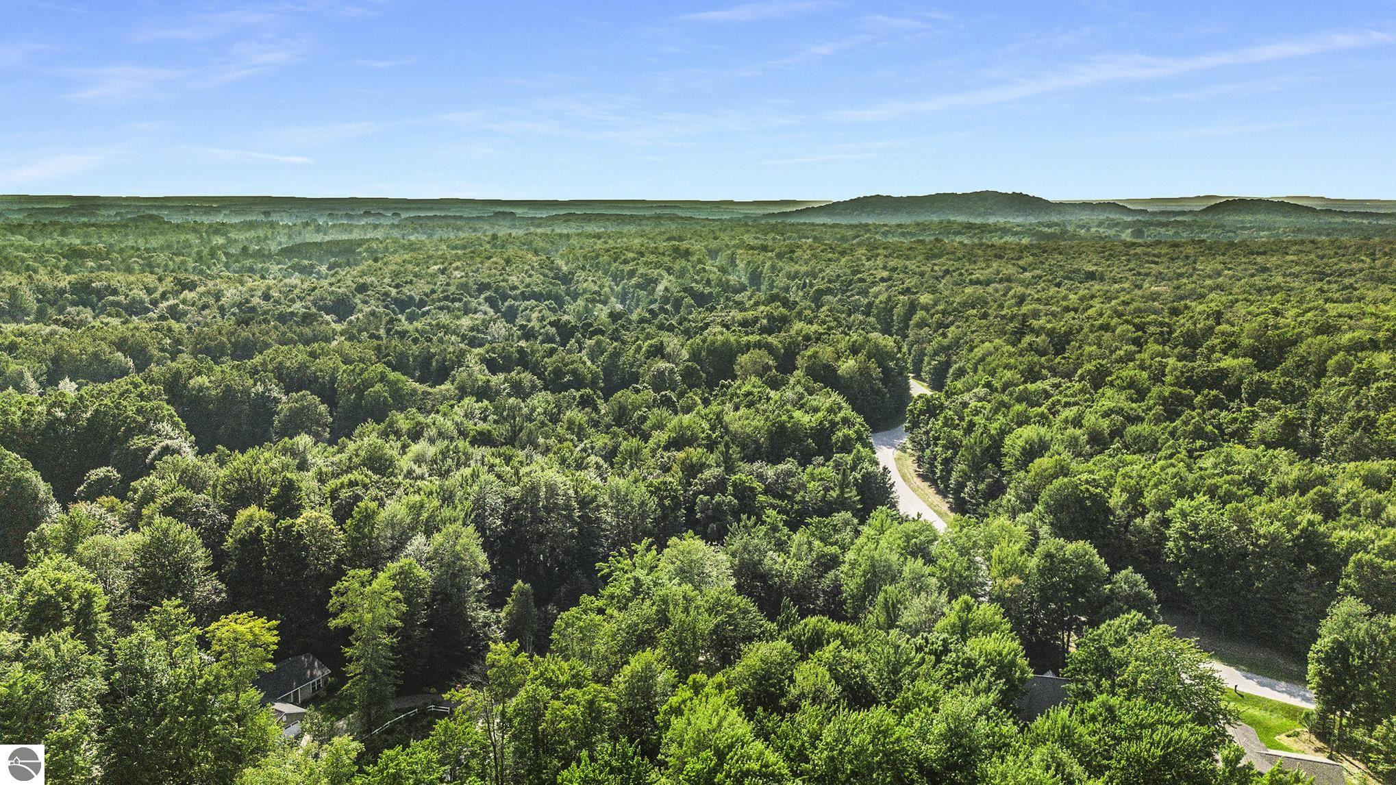 8250 Bent Pine Drive