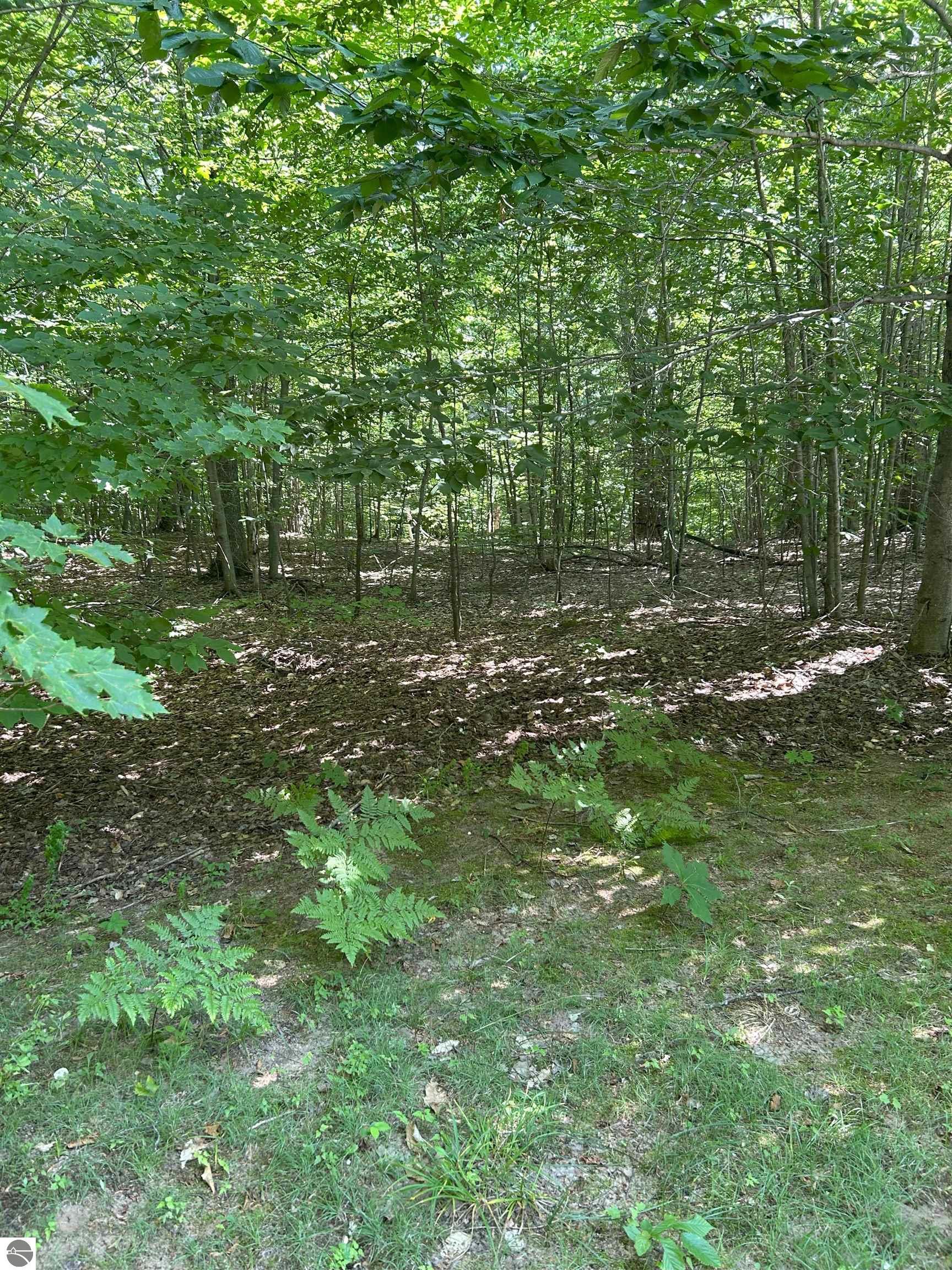 8250 Bent Pine Drive