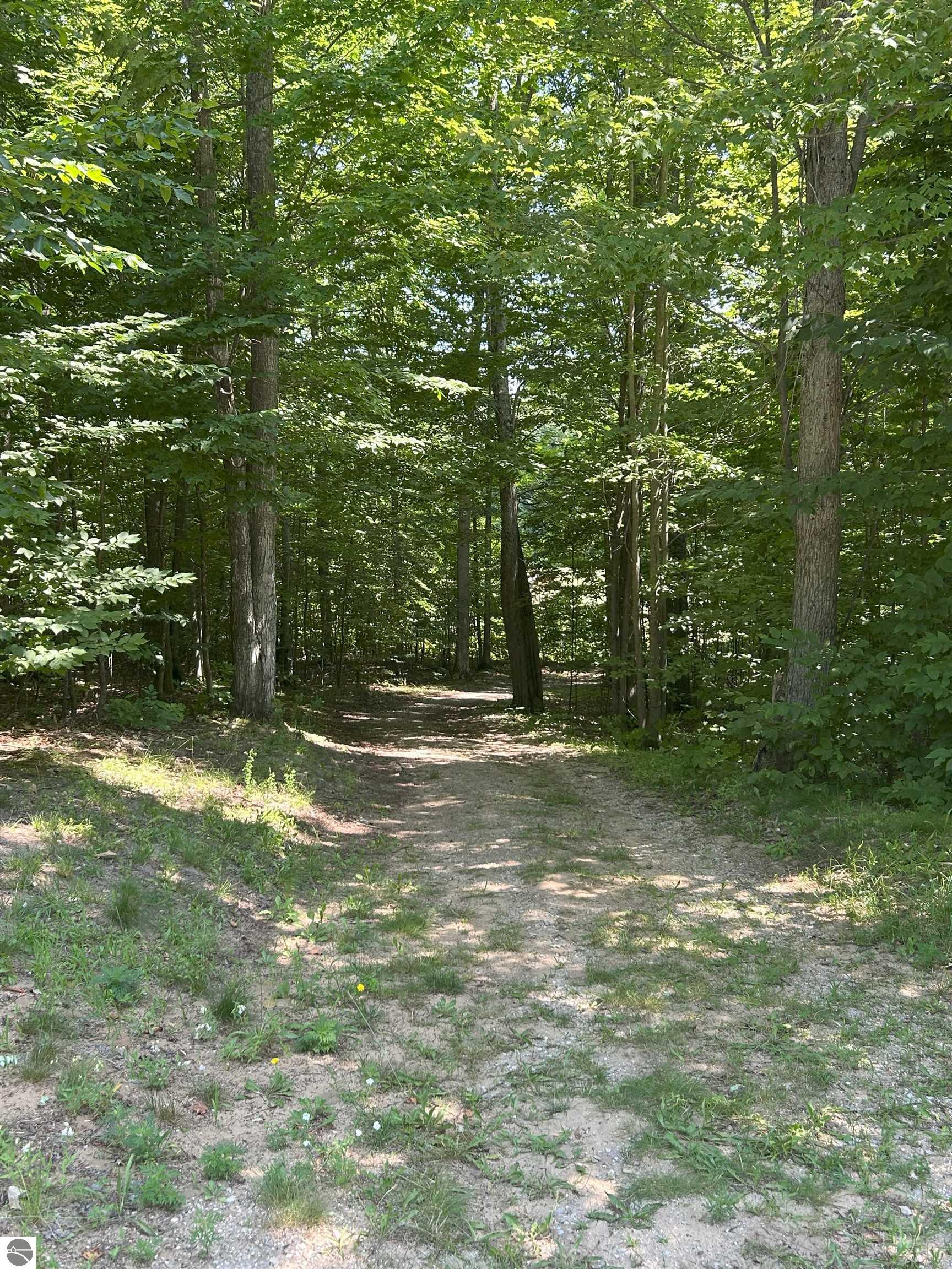 8250 Bent Pine Drive