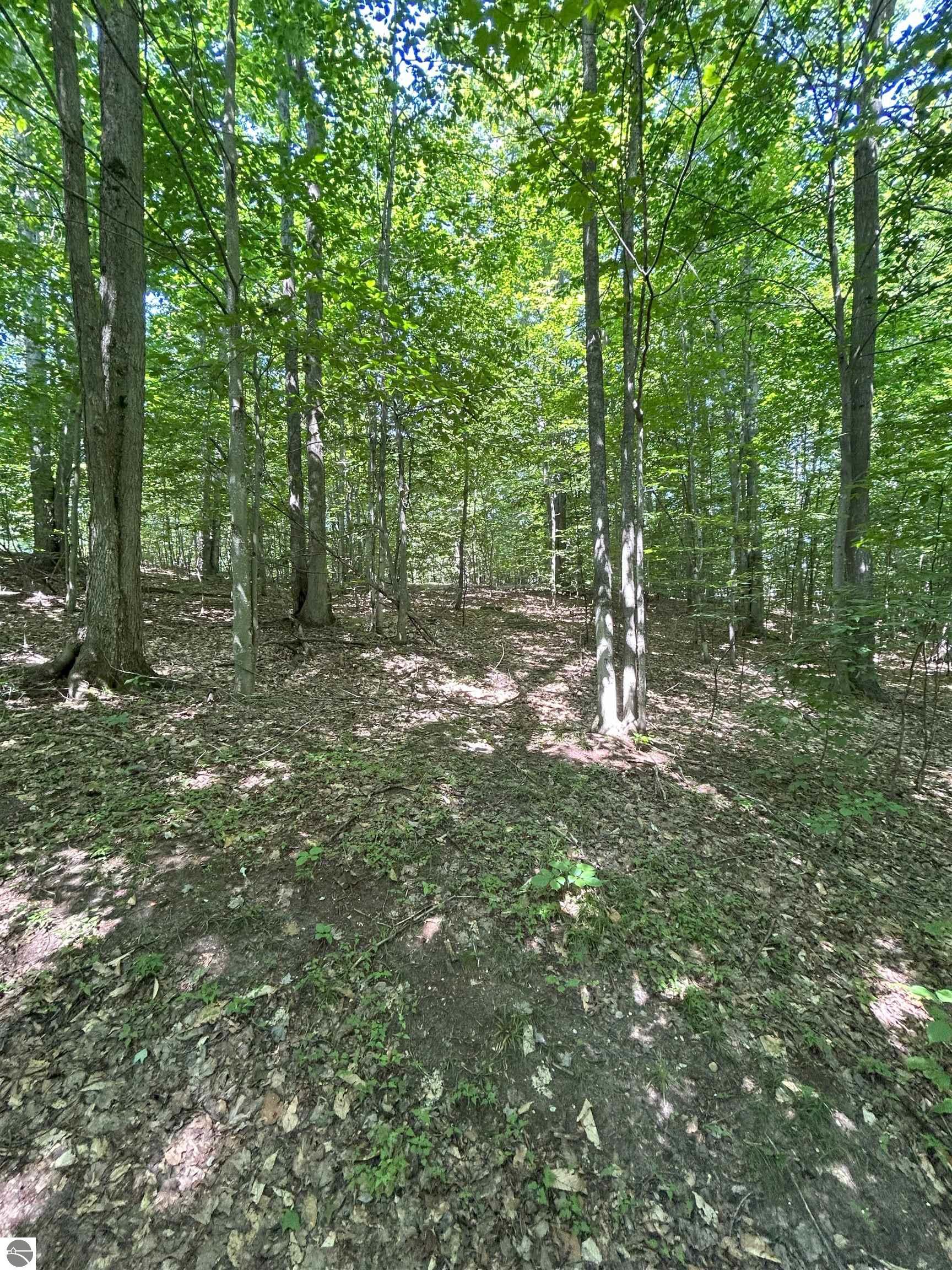 8250 Bent Pine Drive