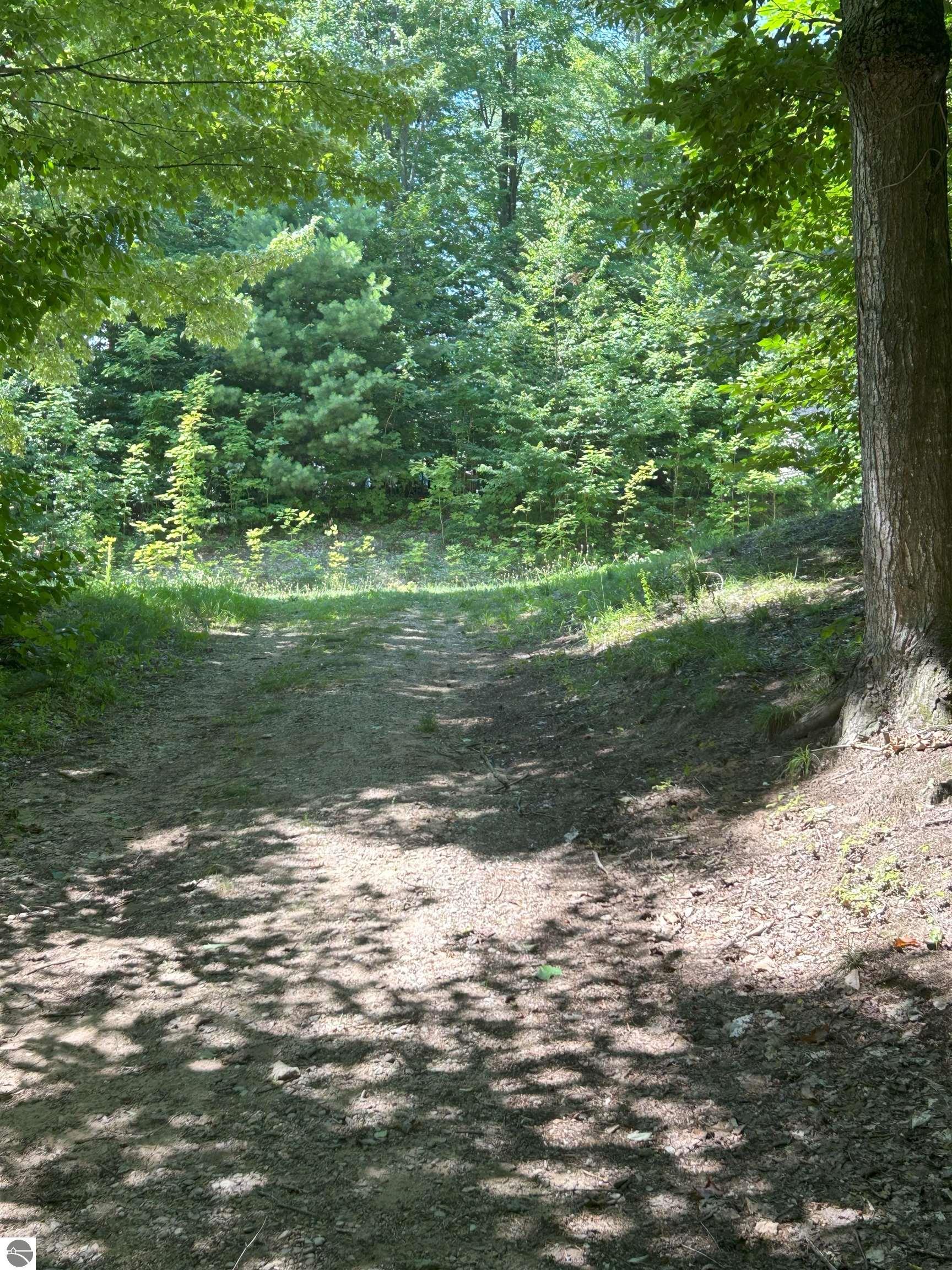 8250 Bent Pine Drive