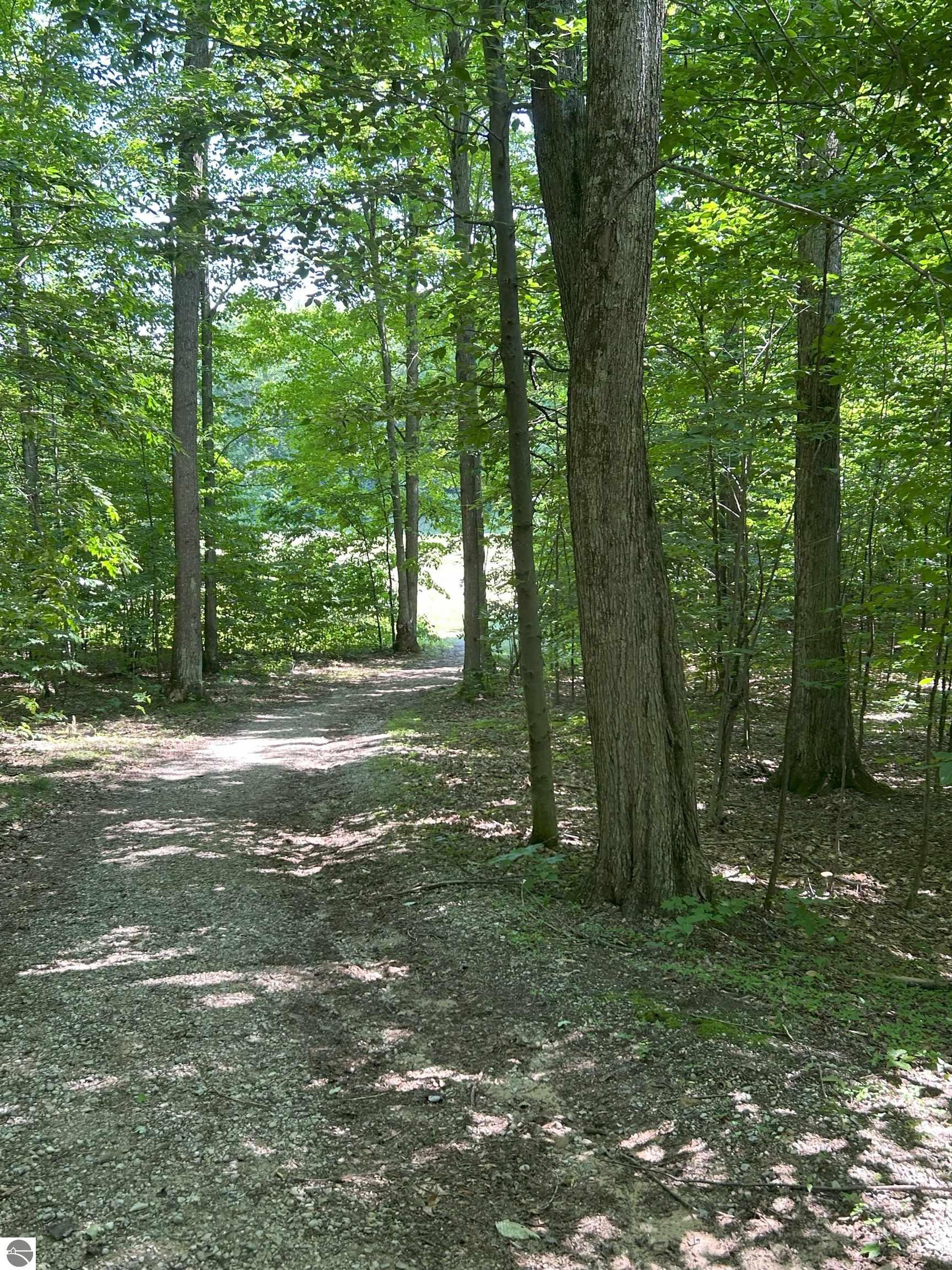 8250 Bent Pine Drive