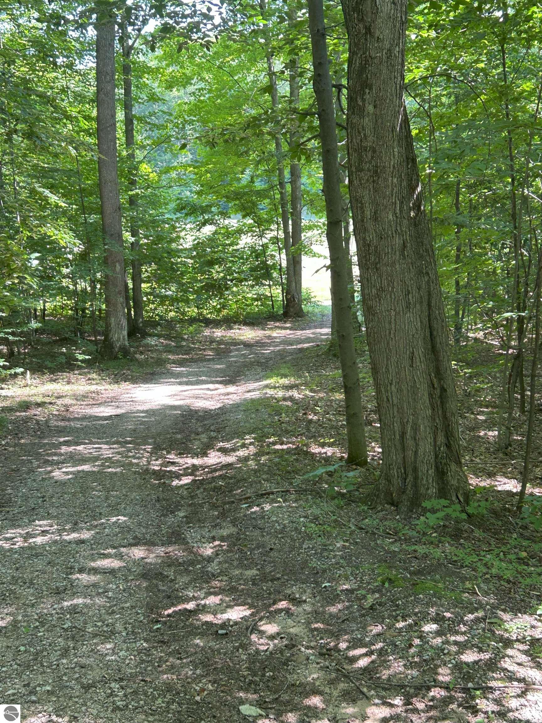 8250 Bent Pine Drive