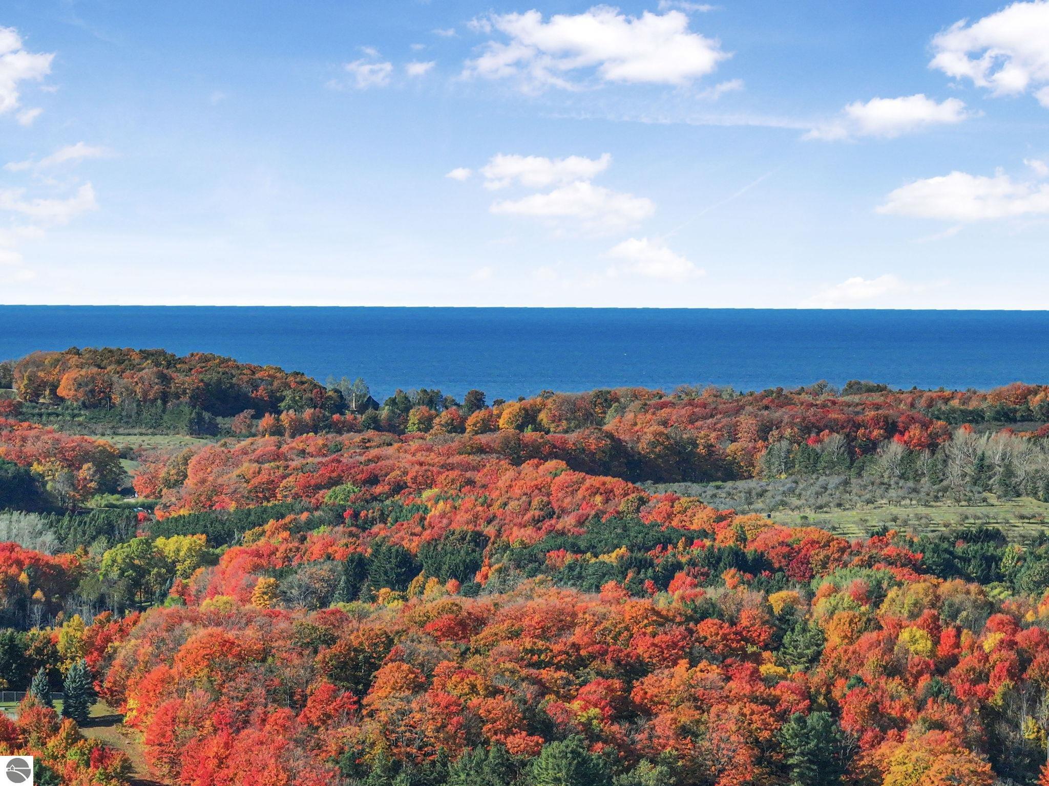 317 S Shabwasung Street