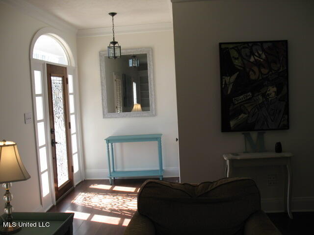 808 Annandale Road
