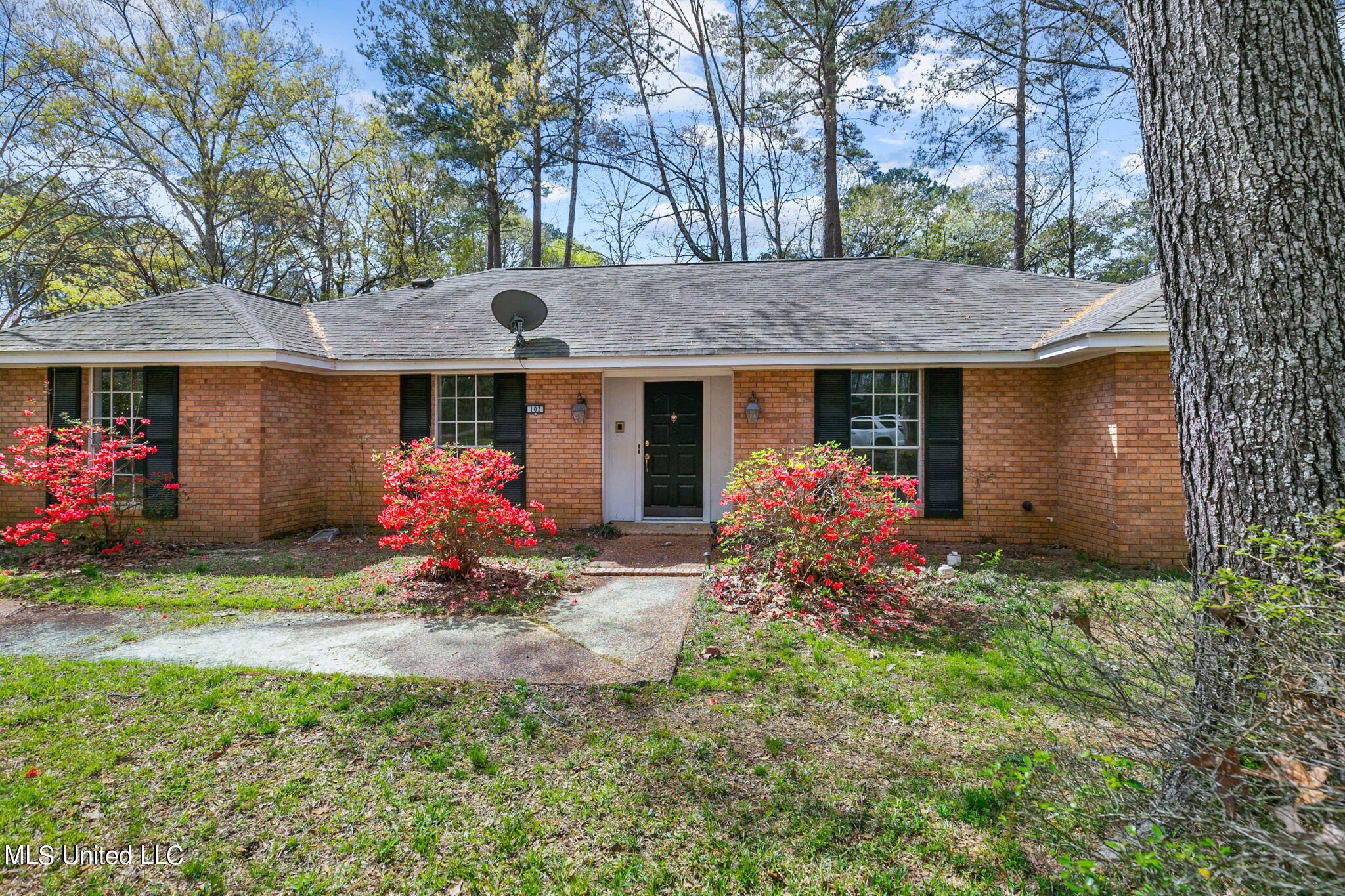 103 Whippoorwill Road