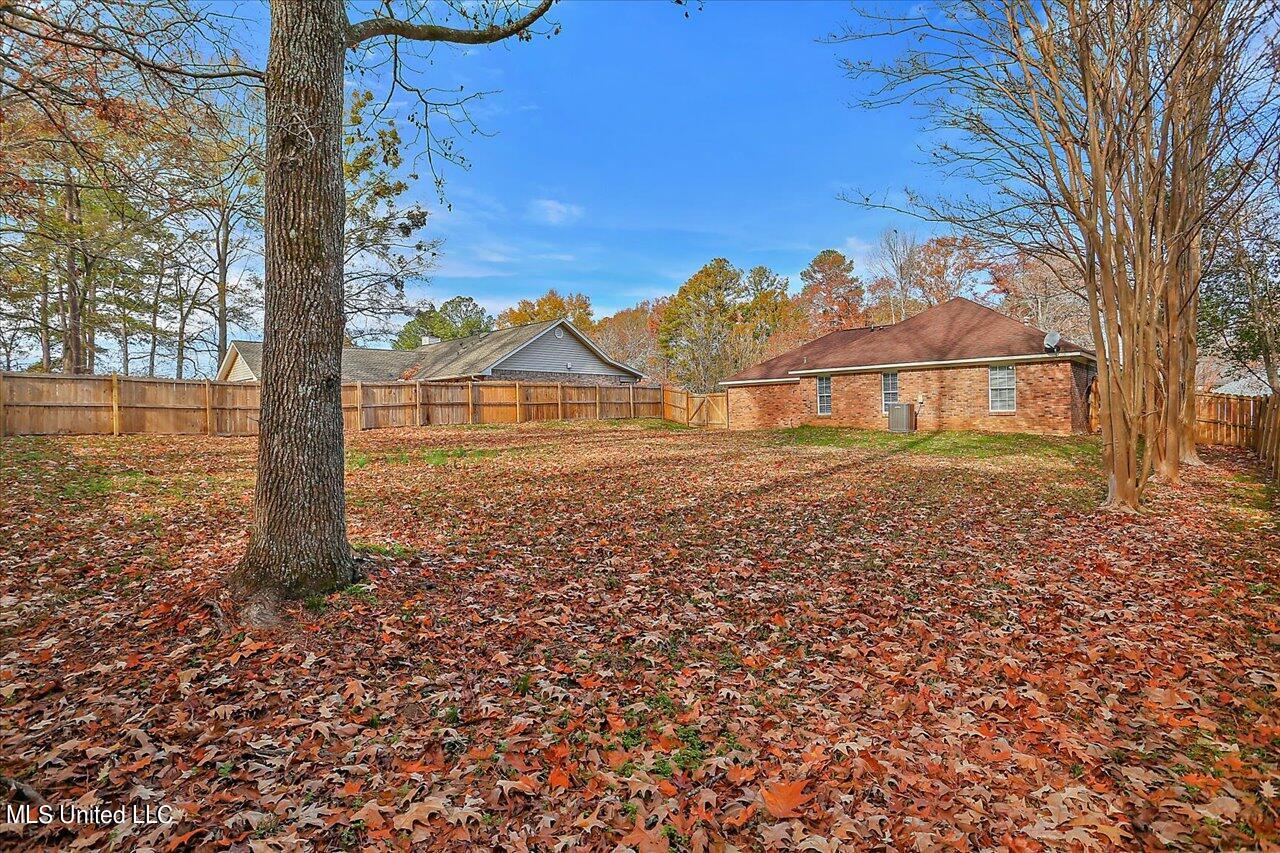 635 Dorothy Lane