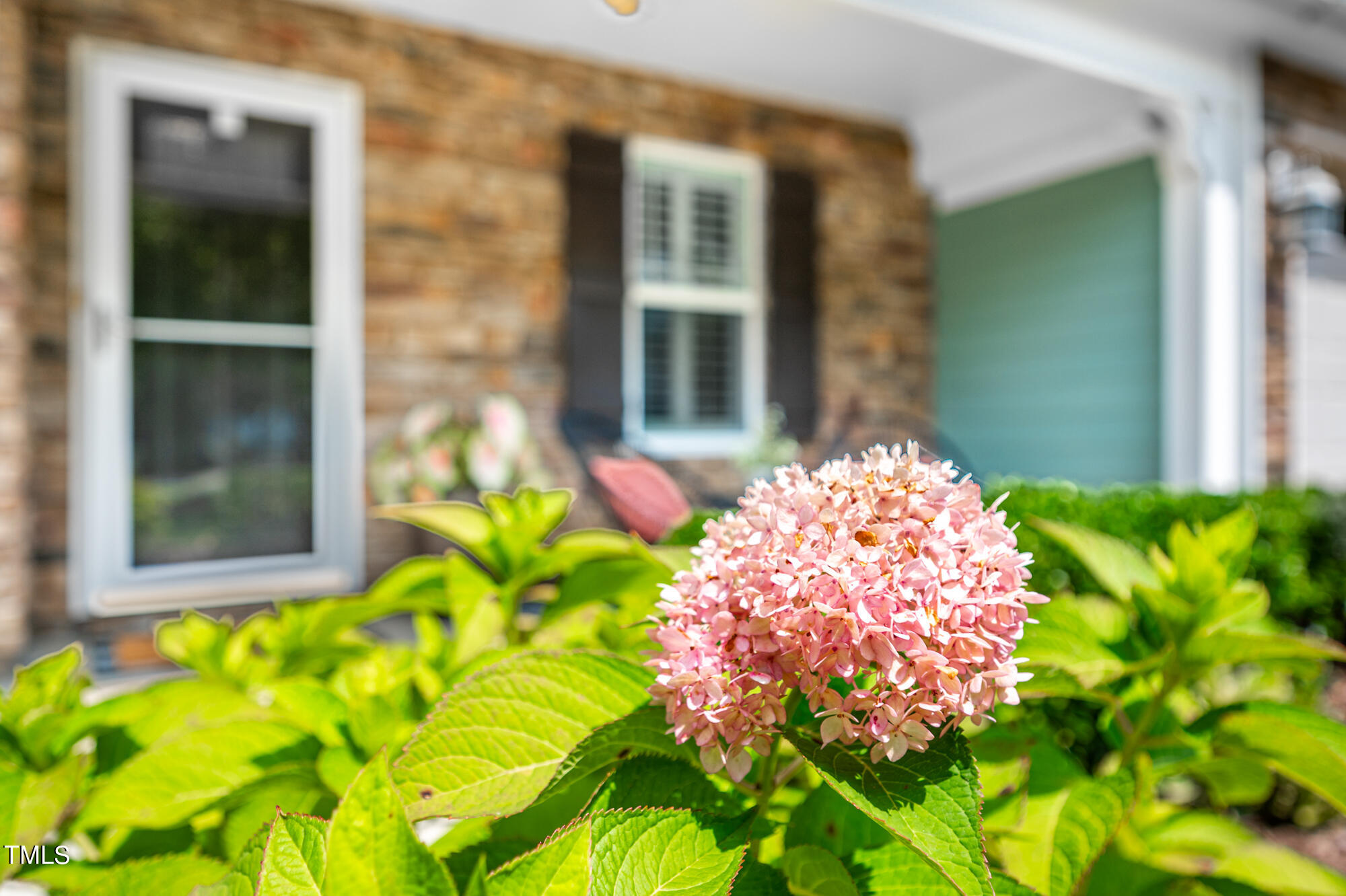 Pink hydrangea blooming in front of a brick home with a green entry door.