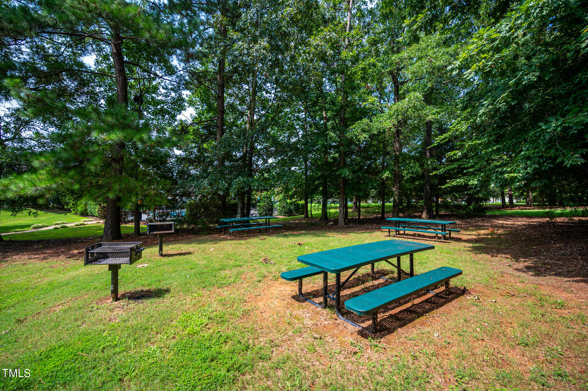 Shaded picnic area with teal tables and charcoal grills beneath mature trees.