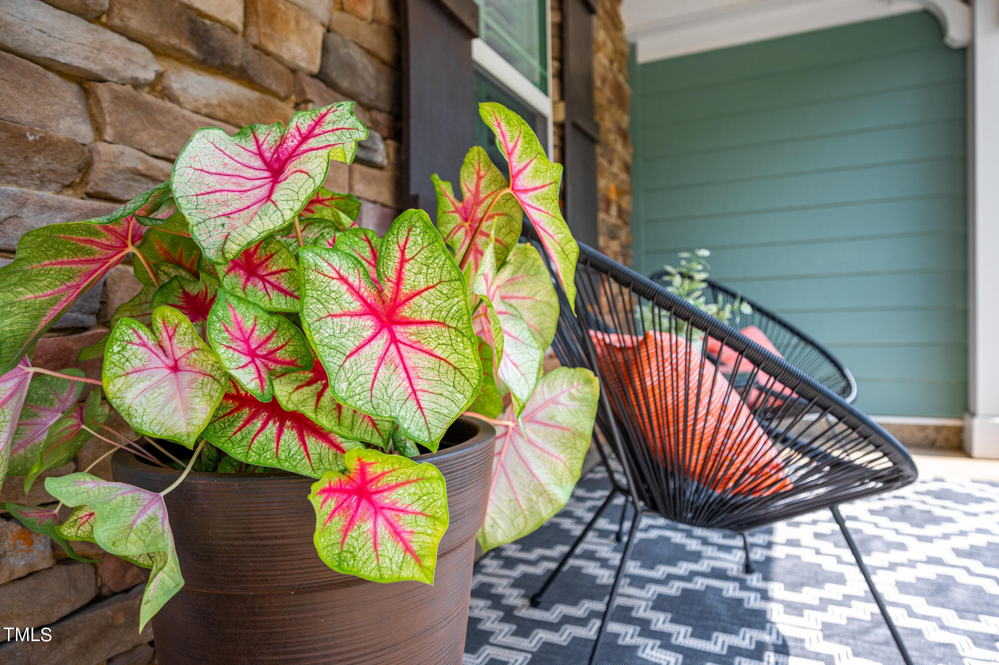 Front porch with a pink-veined caladium, black wire chair, patterned rug, and green door.