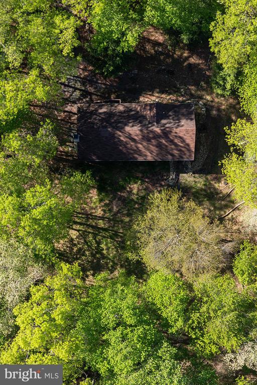 66 Hunter Ln