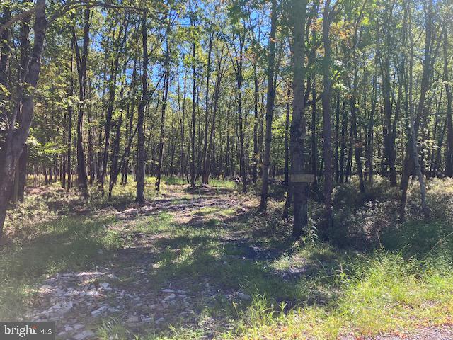 2546 PAWNEE TRAIL