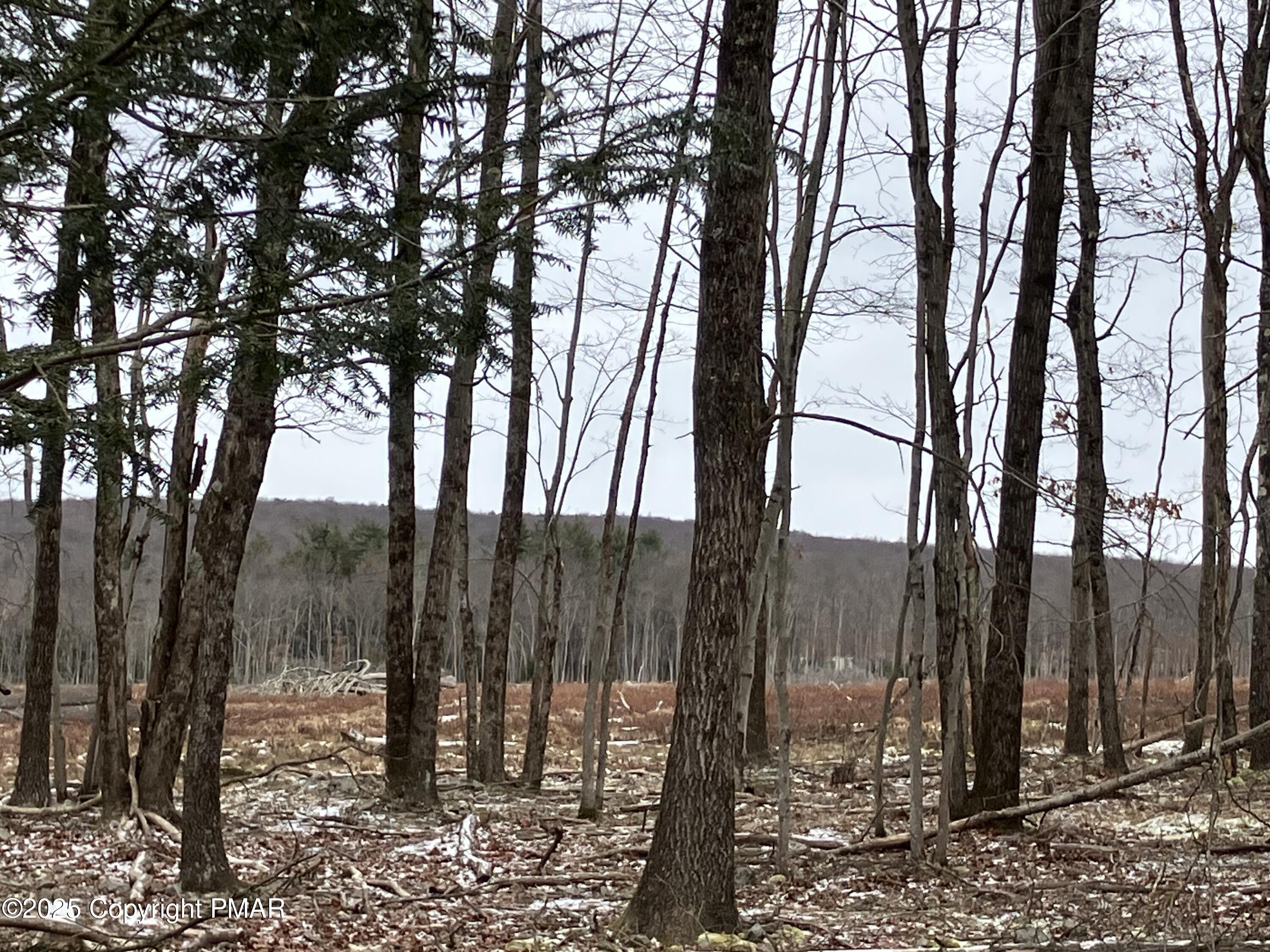 100 Tamarack Terrace