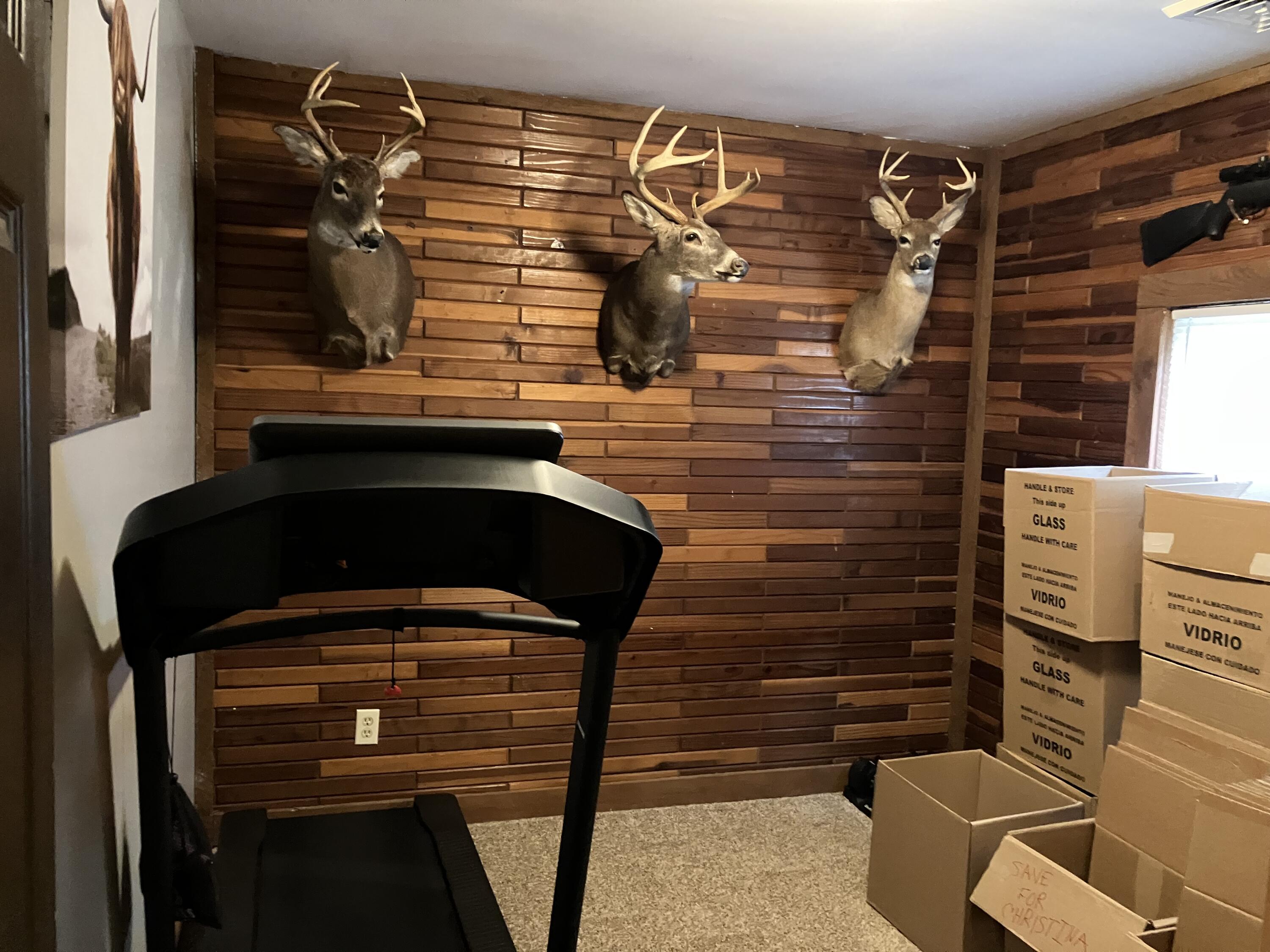 39 Pine Tree Road Road