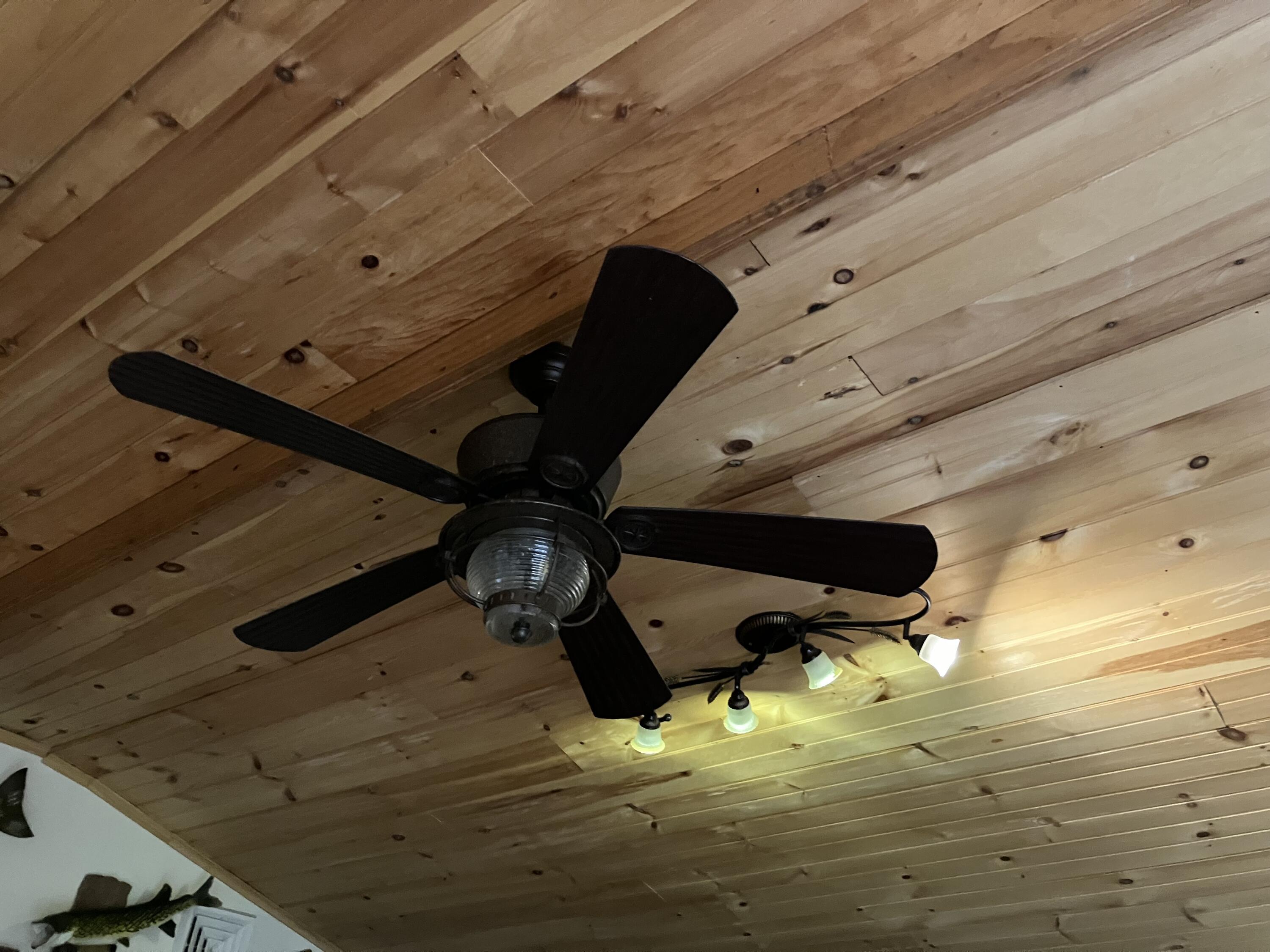 39 Pine Tree Road Road