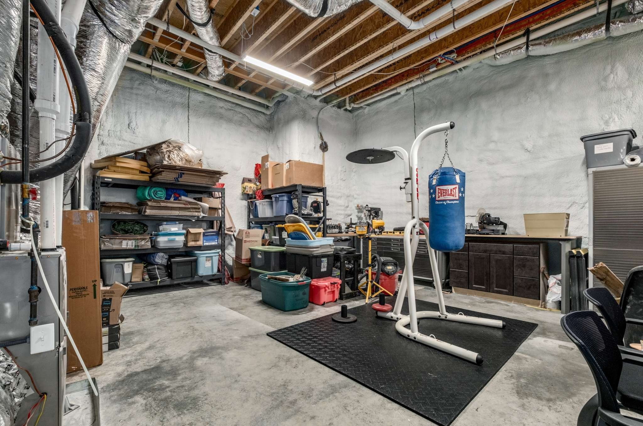 1236 Saxon Dr