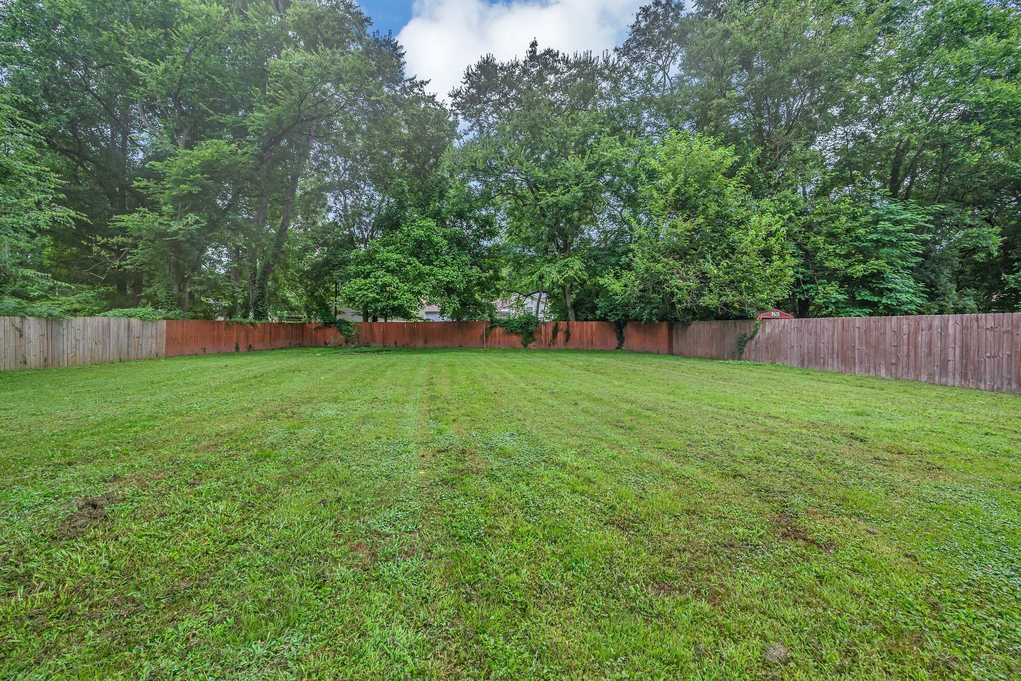 917 Drummond Dr