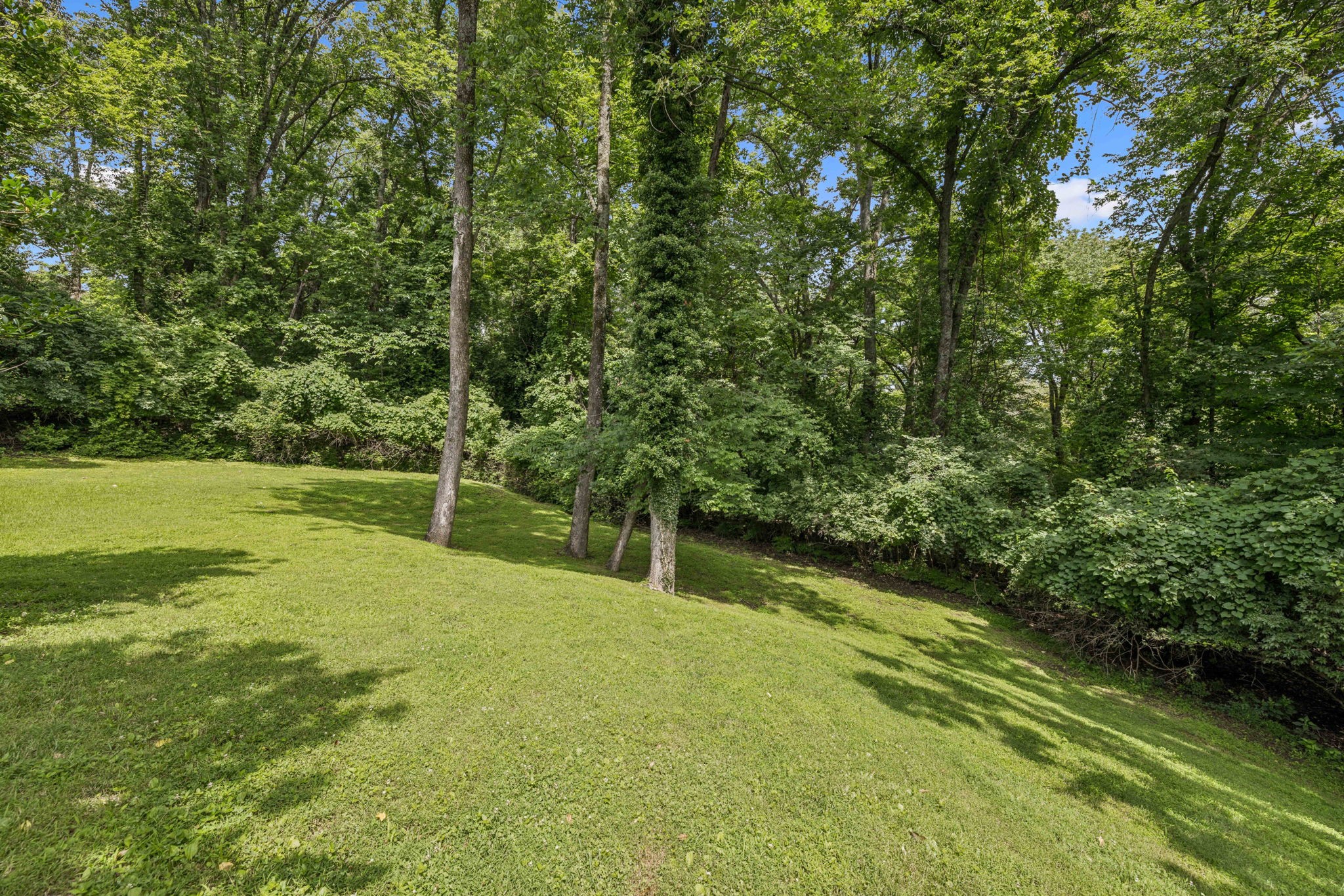 926 Overton Lea Rd