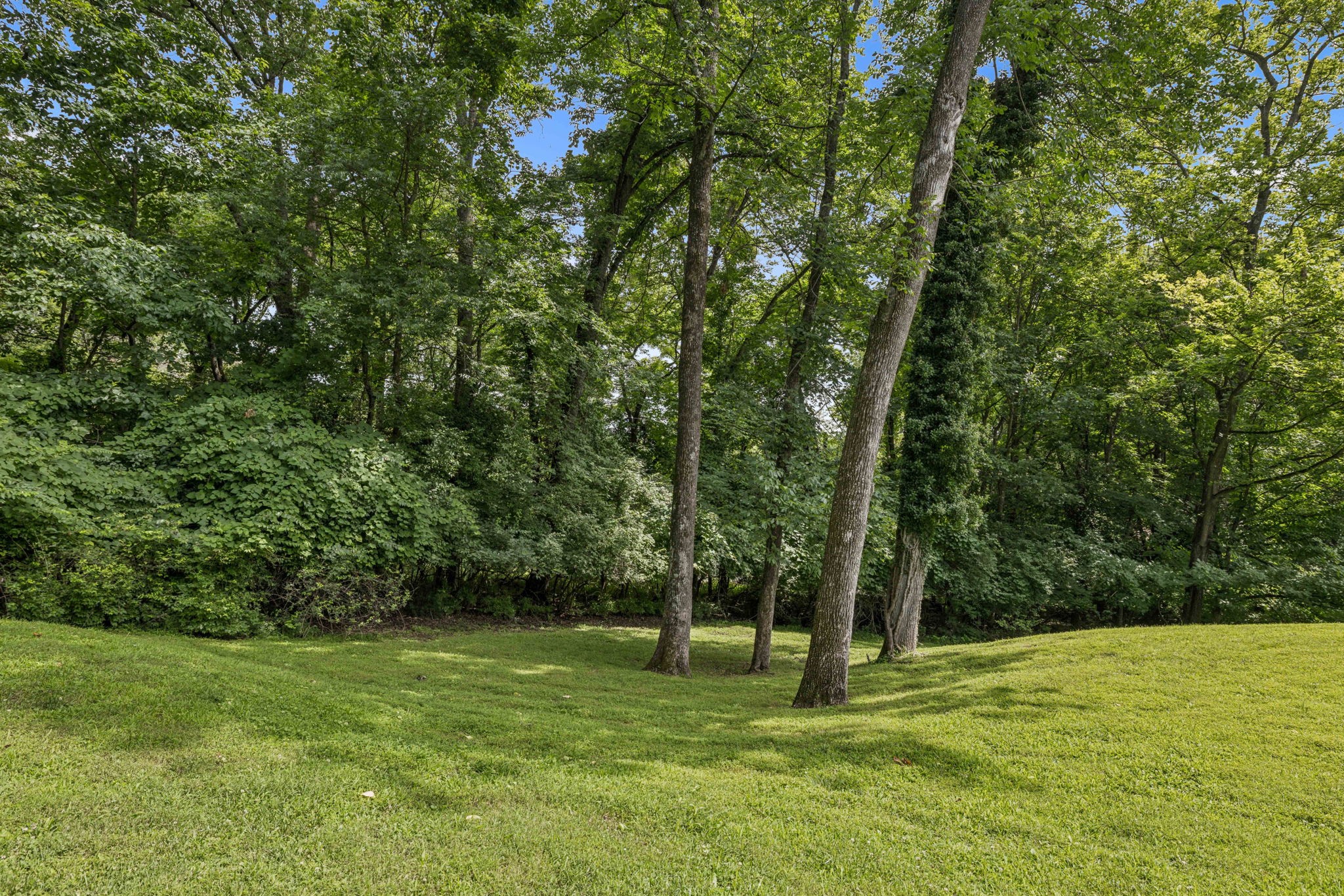 926 Overton Lea Rd