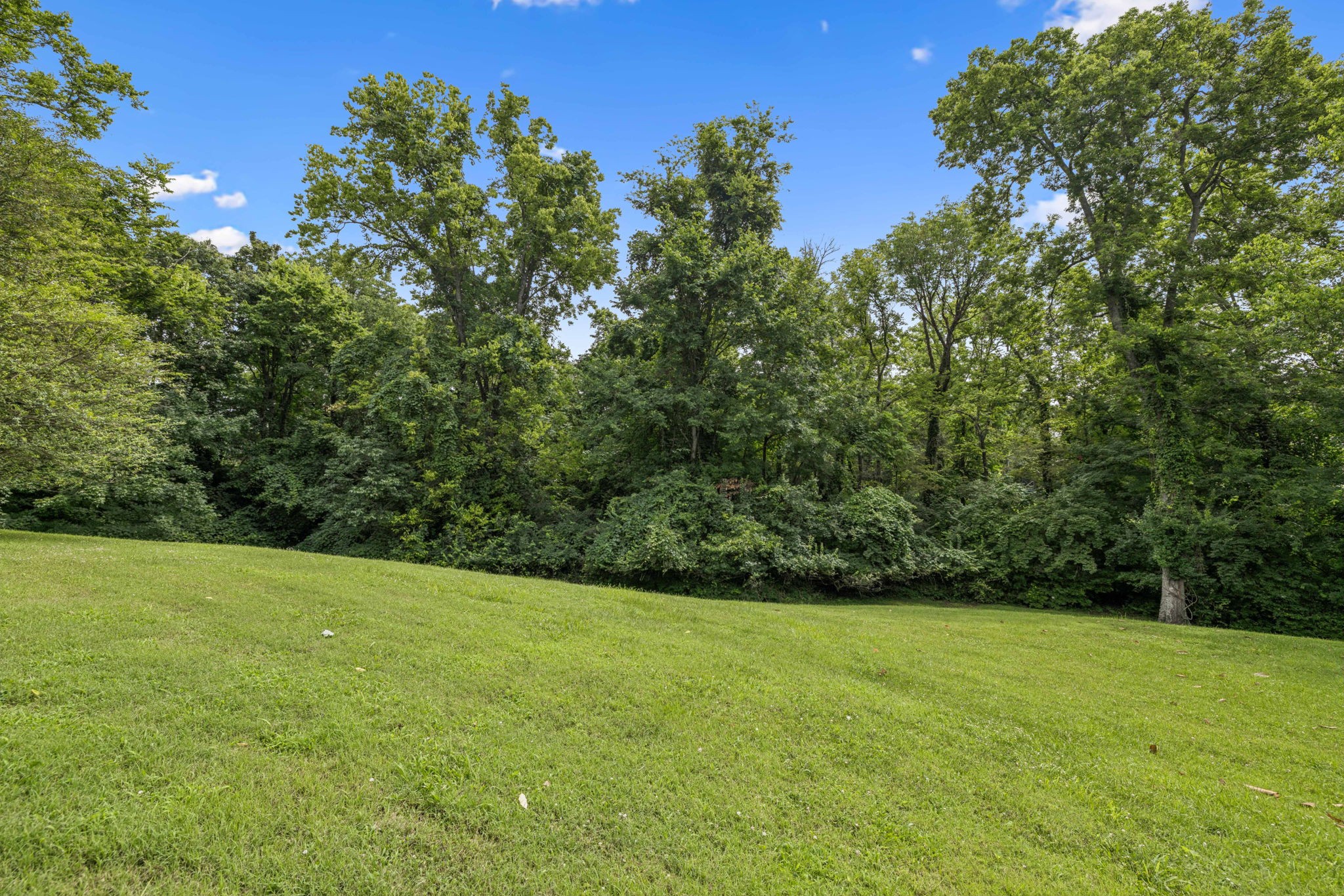 926 Overton Lea Rd