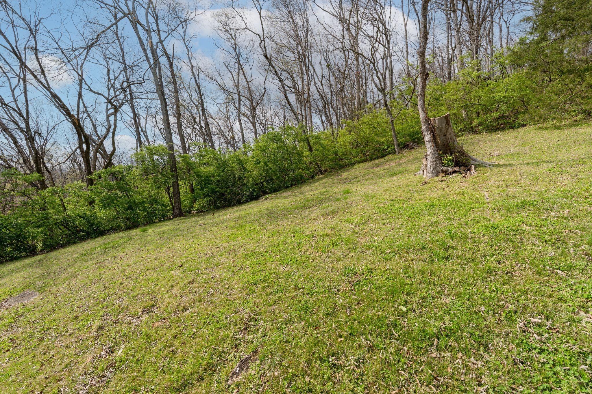 6612 Fox Hollow Rd