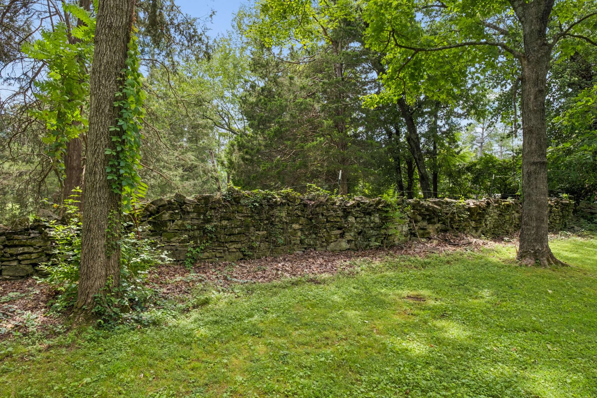 943 Oak Valley Ln