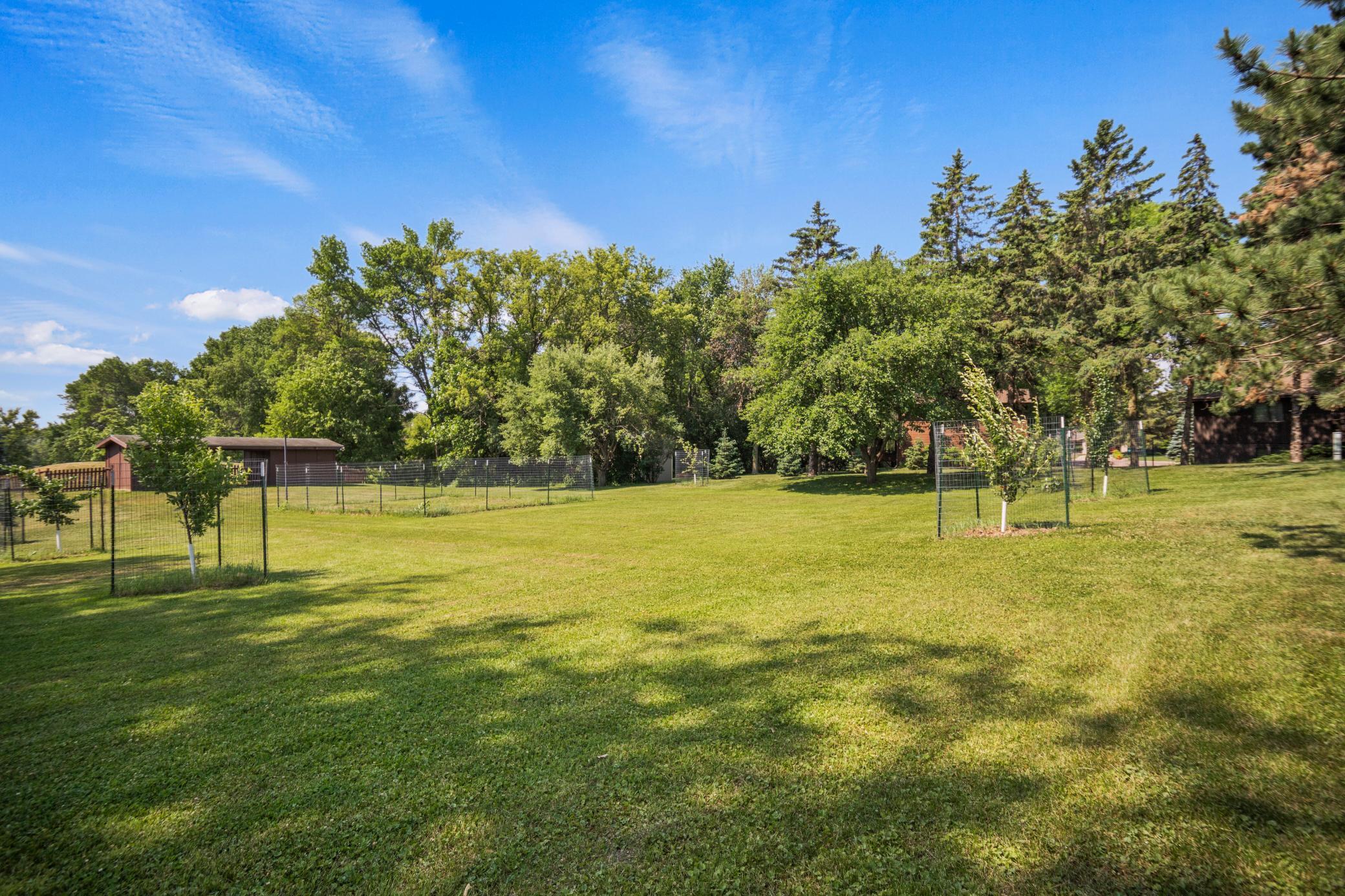 635 Cherry Place