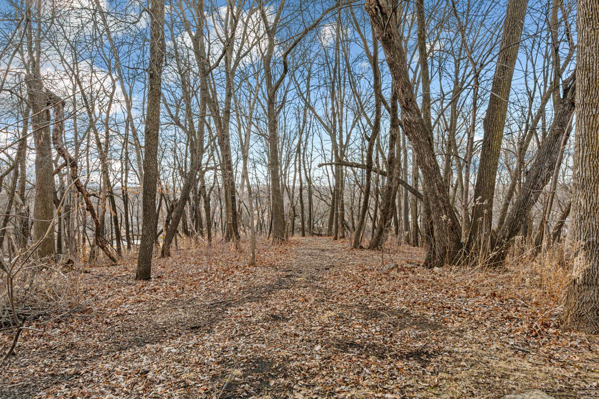 567 Forest Lane