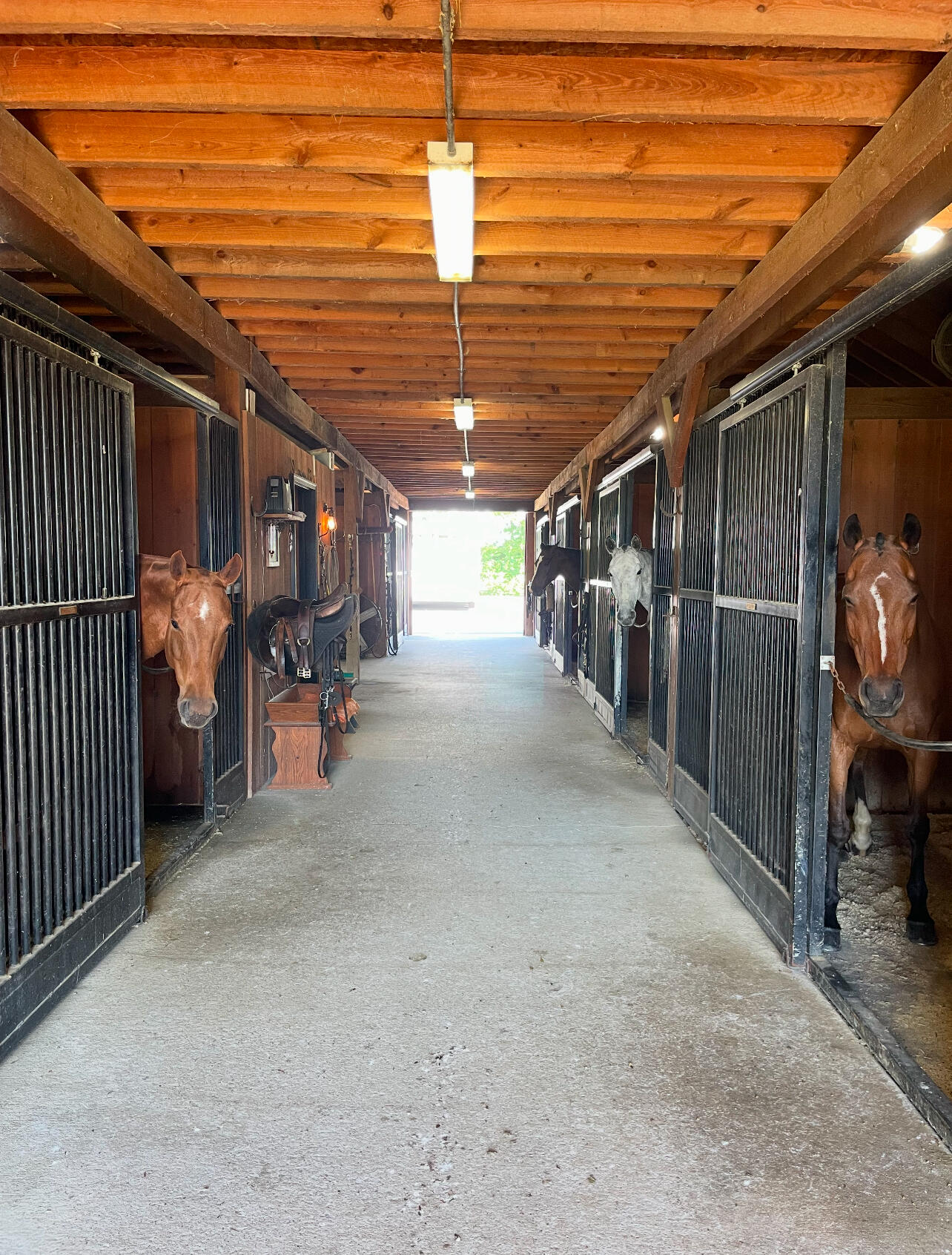 865 Sugar Ridge Road