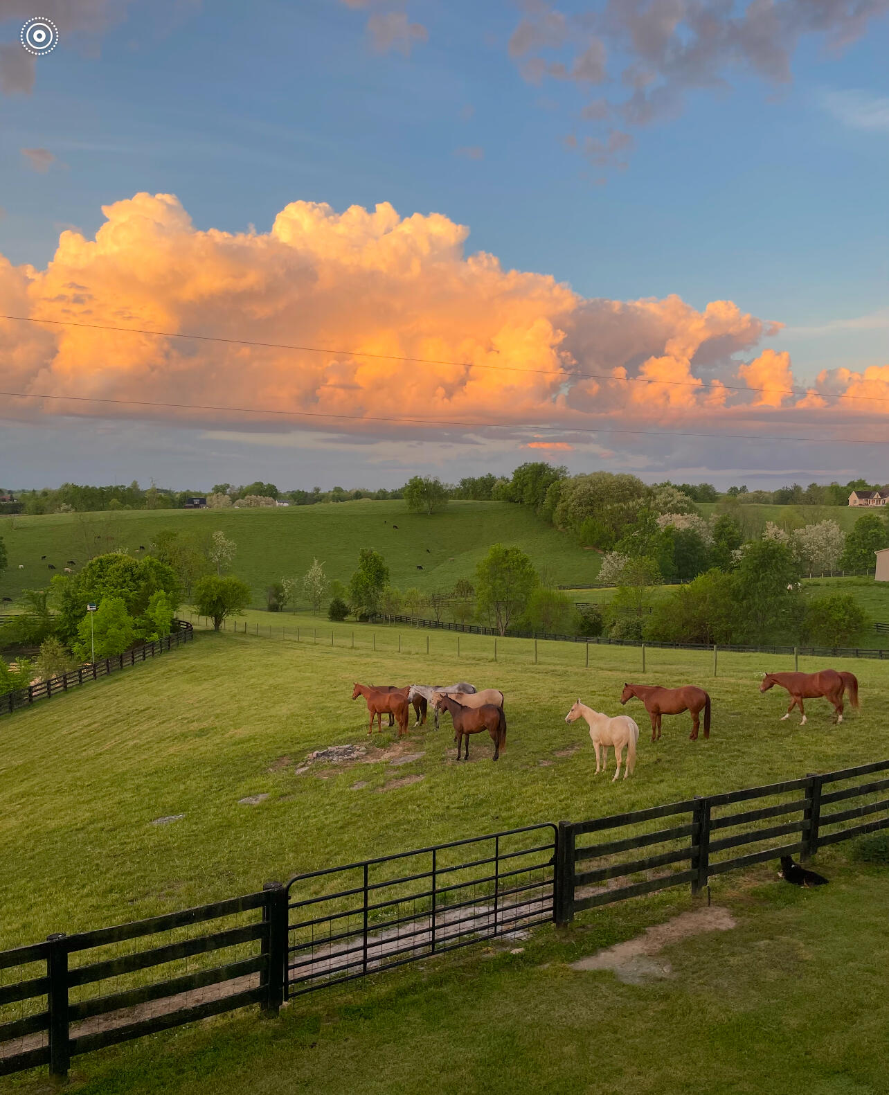 865 Sugar Ridge Road