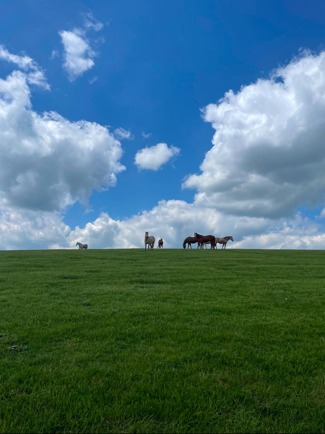 865 Sugar Ridge Road